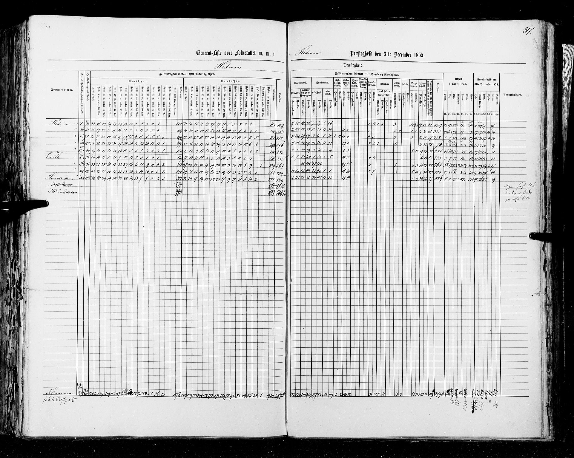 RA, Census 1855, vol. 2: Kristians amt, Buskerud amt og Jarlsberg og Larvik amt, 1855, p. 317