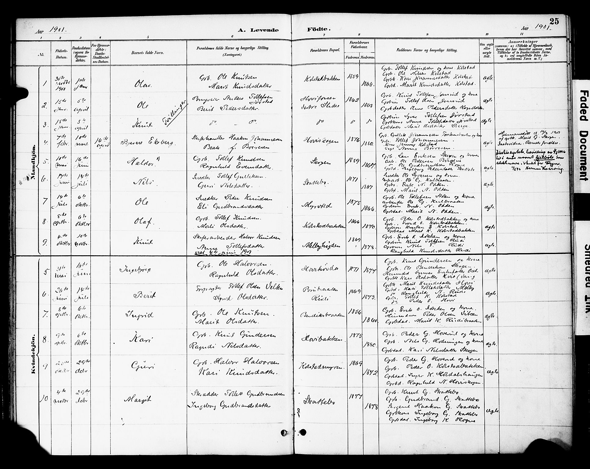 Øystre Slidre prestekontor, AV/SAH-PREST-138/H/Ha/Haa/L0003: Parish register (official) no. 3, 1887-1910, p. 25