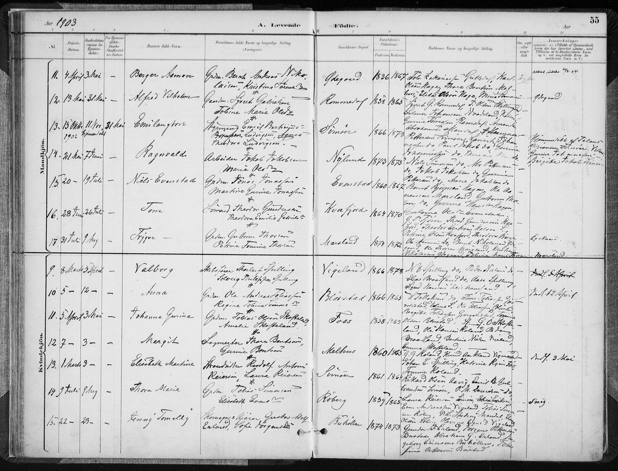 Sør-Audnedal sokneprestkontor, AV/SAK-1111-0039/F/Fa/Fab/L0010: Parish register (official) no. A 10, 1892-1913, p. 55