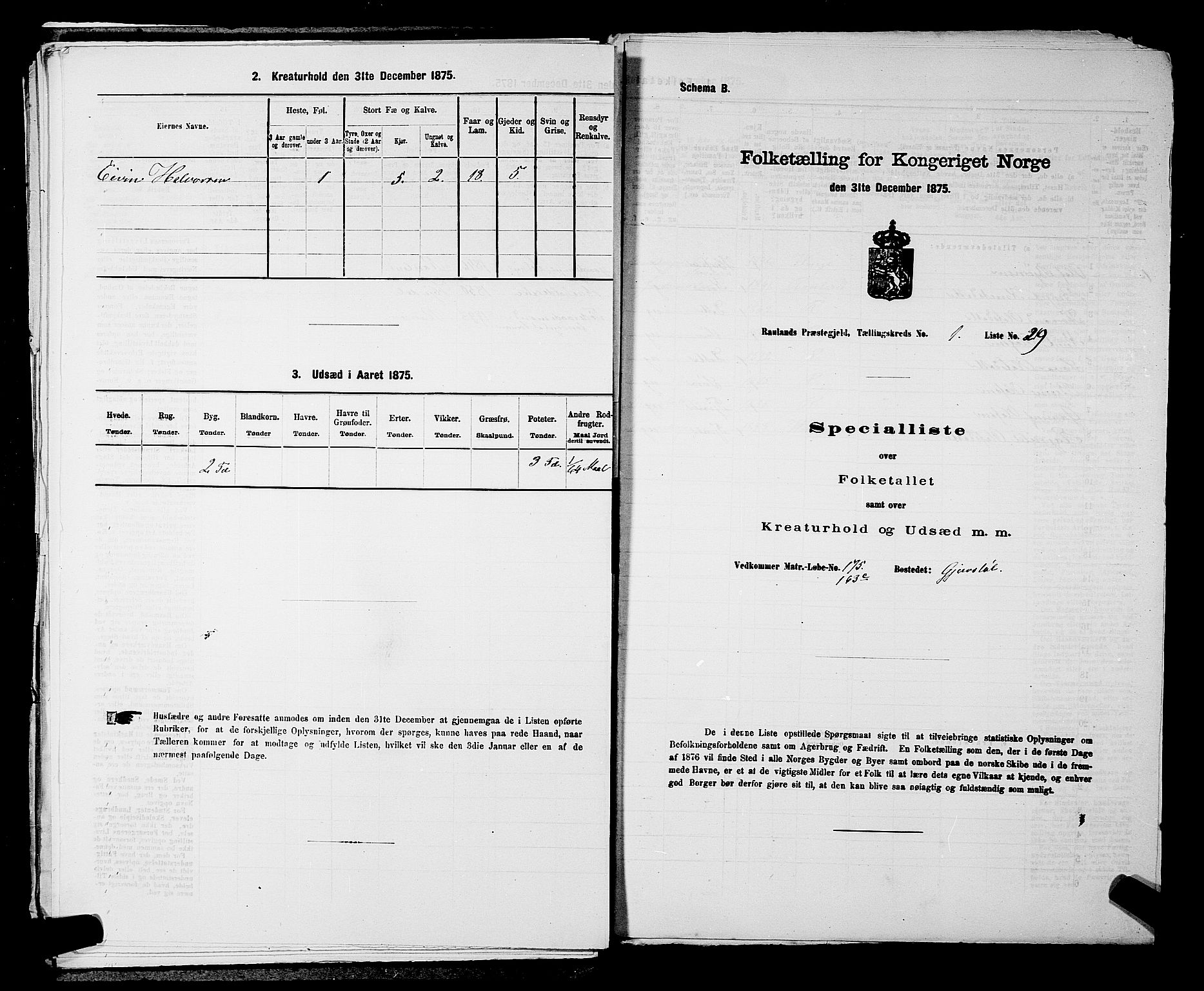 SAKO, 1875 census for 0835P Rauland, 1875, p. 88