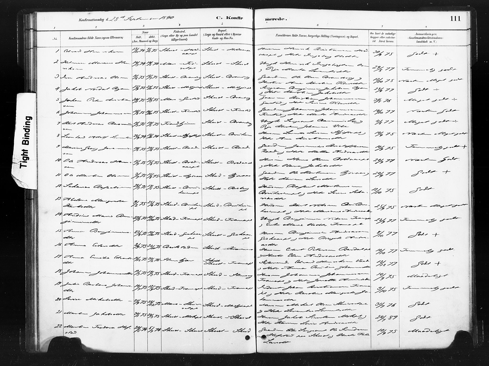 Ministerialprotokoller, klokkerbøker og fødselsregistre - Nord-Trøndelag, SAT/A-1458/736/L0361: Parish register (official) no. 736A01, 1884-1906, p. 111
