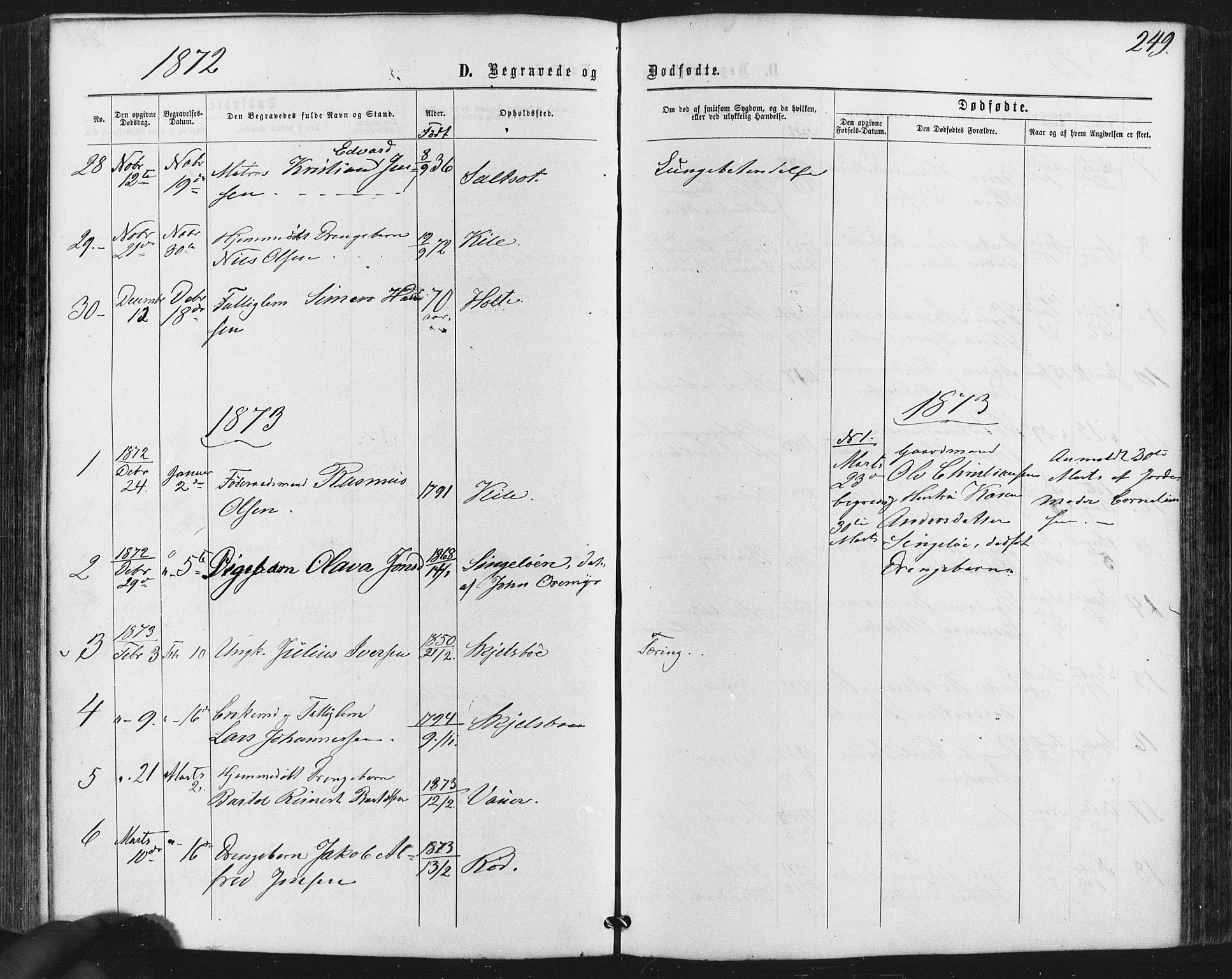 Hvaler prestekontor Kirkebøker, AV/SAO-A-2001/F/Fa/L0007: Parish register (official) no. I 7, 1864-1878, p. 249