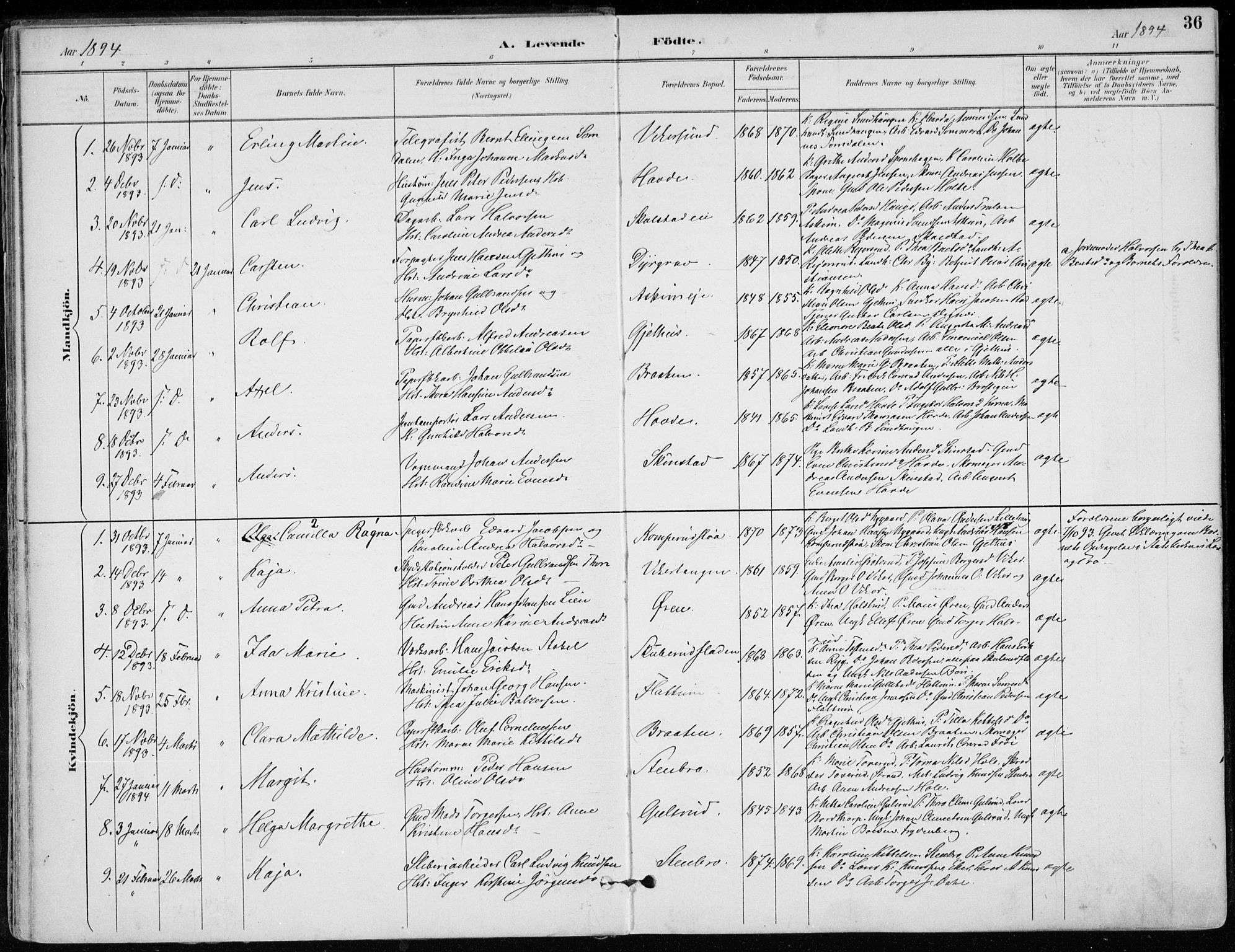 Modum kirkebøker, AV/SAKO-A-234/F/Fa/L0012: Parish register (official) no. 12, 1890-1898, p. 36