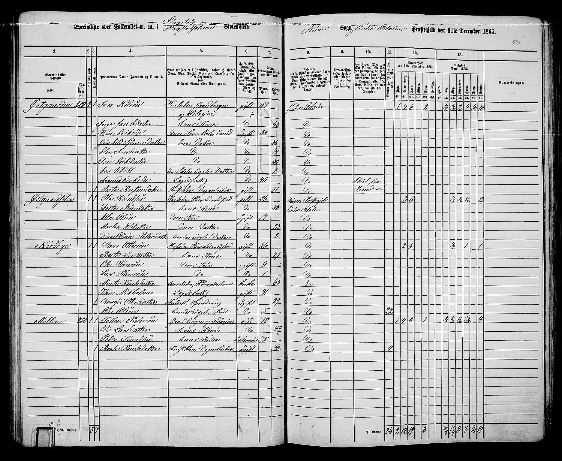 RA, 1865 census for Sør-Odal, 1865, p. 78