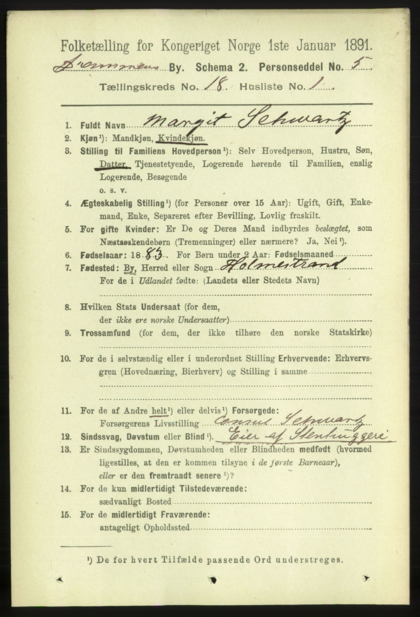 RA, 1891 census for 0602 Drammen, 1891, p. 11639