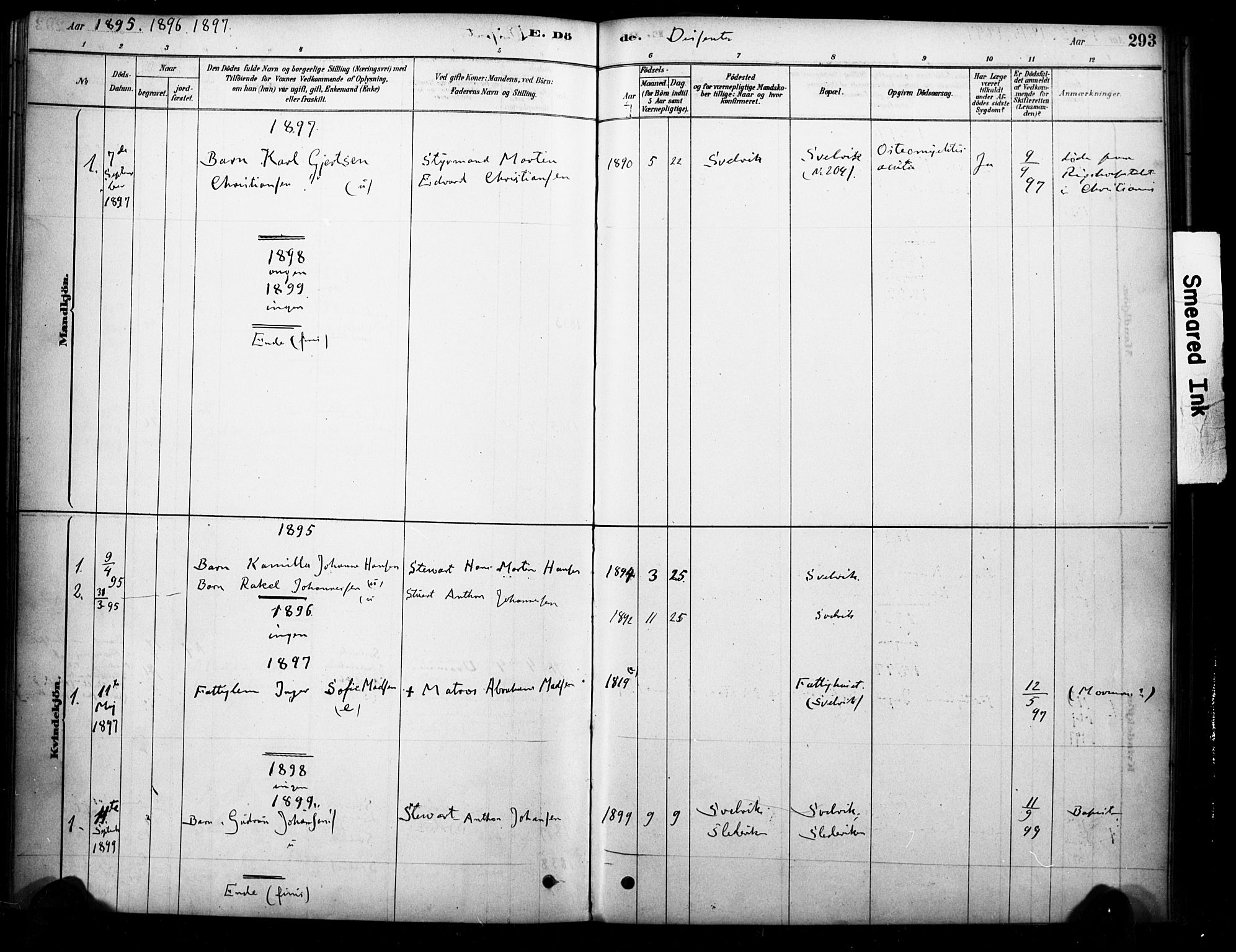 Strømm kirkebøker, AV/SAKO-A-322/F/Fb/L0001: Parish register (official) no. II 1, 1878-1899, p. 293