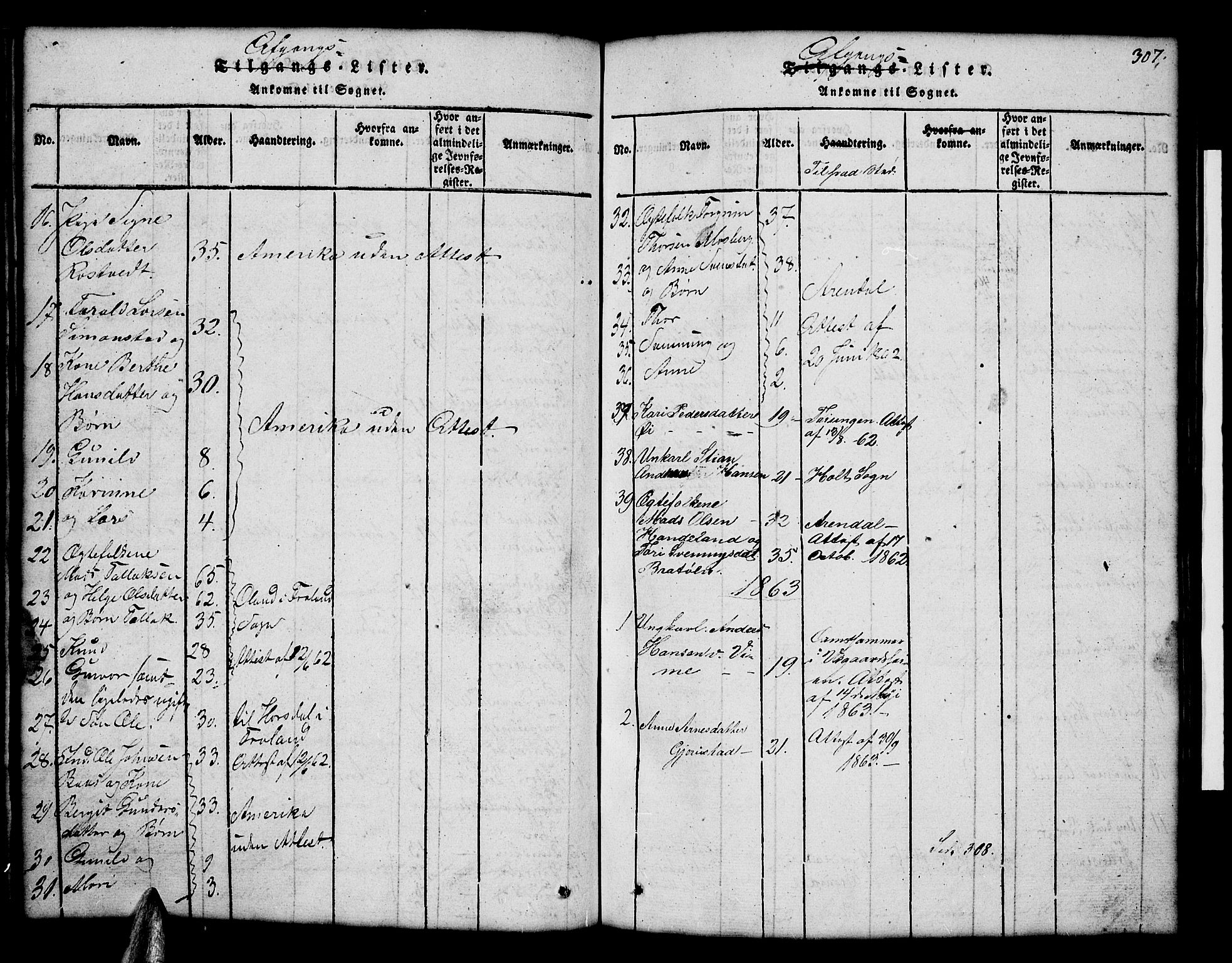 Åmli sokneprestkontor, AV/SAK-1111-0050/F/Fb/Fbc/L0001: Parish register (copy) no. B 1, 1816-1867, p. 307