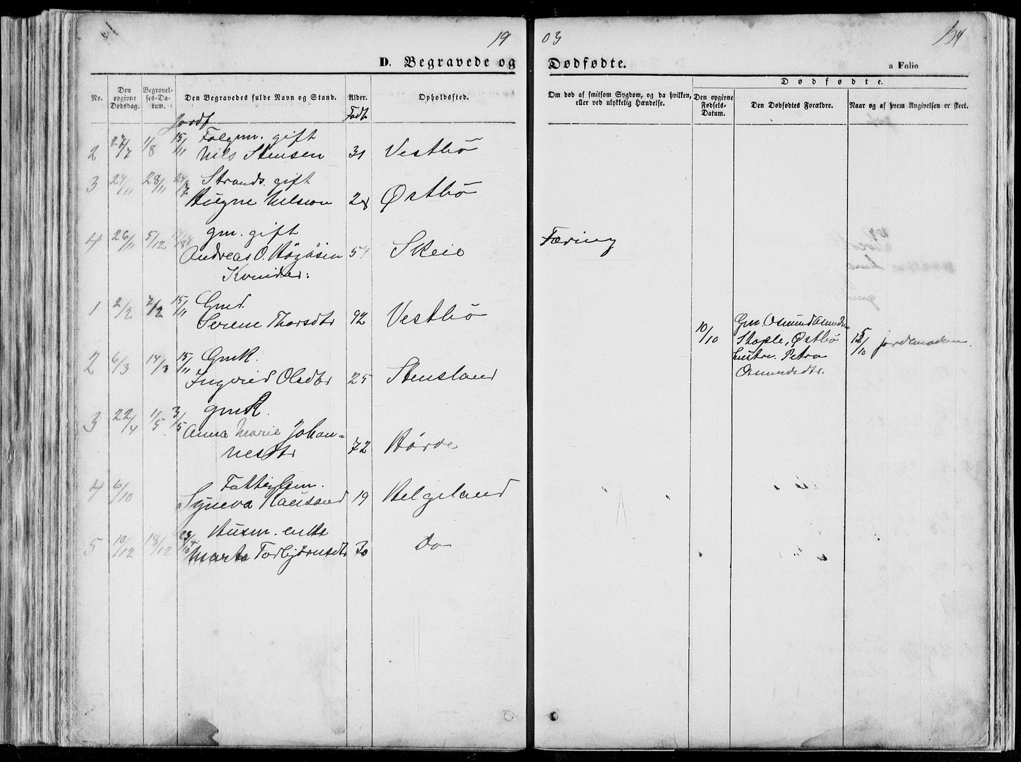 Vikedal sokneprestkontor, SAST/A-101840/01/V: Parish register (copy) no. B 10, 1864-1926, p. 134
