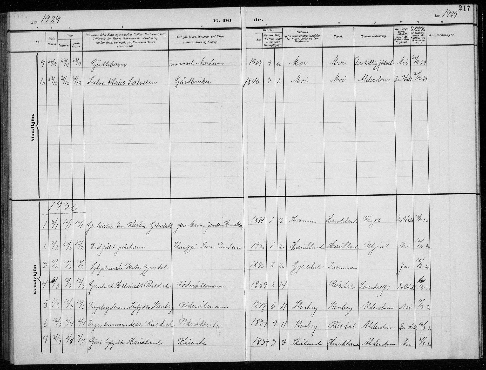 Lund sokneprestkontor, AV/SAST-A-101809/S07/L0008: Parish register (copy) no. B 8, 1902-1936, p. 217