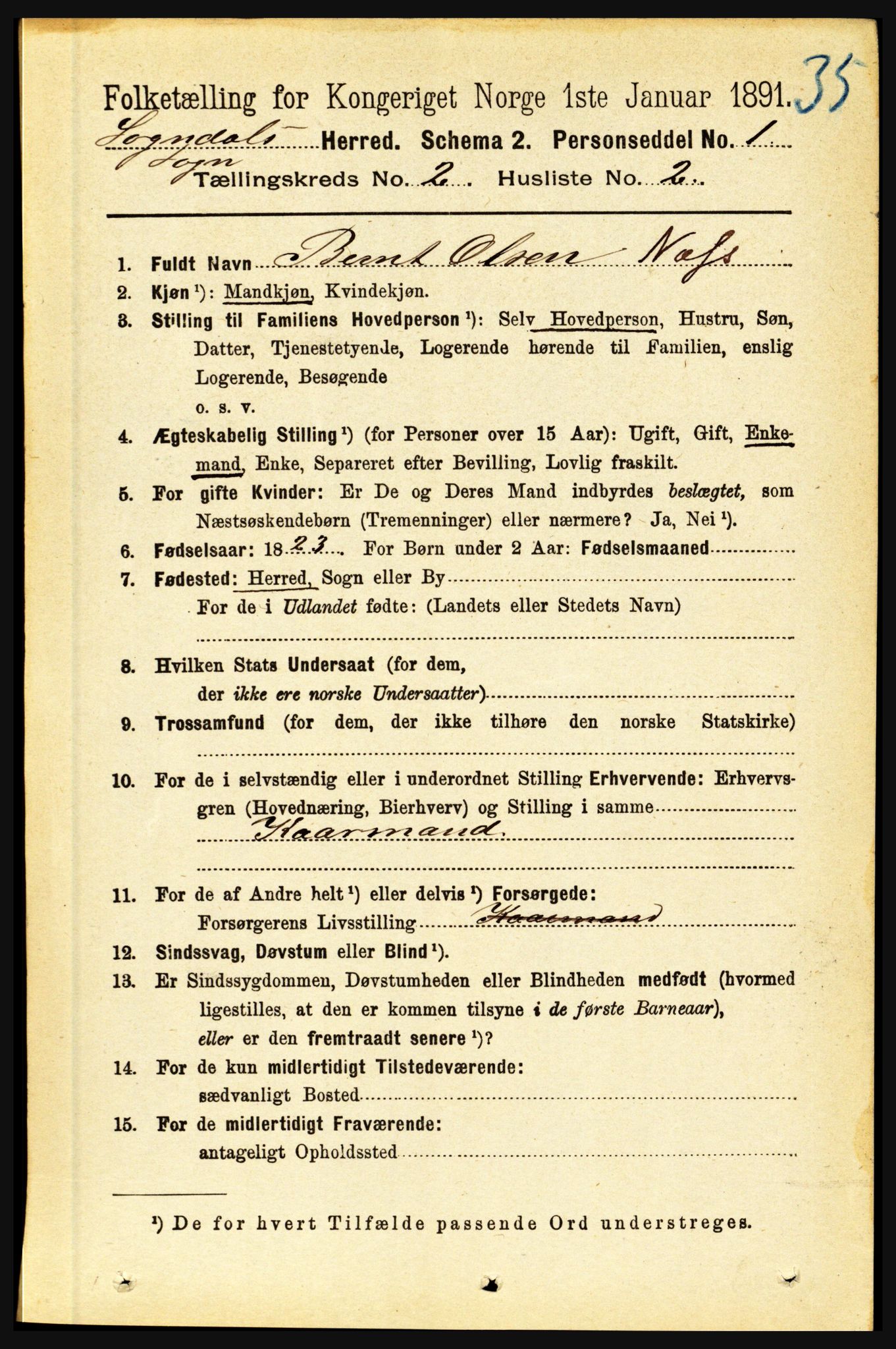 RA, 1891 census for 1420 Sogndal, 1891, p. 599