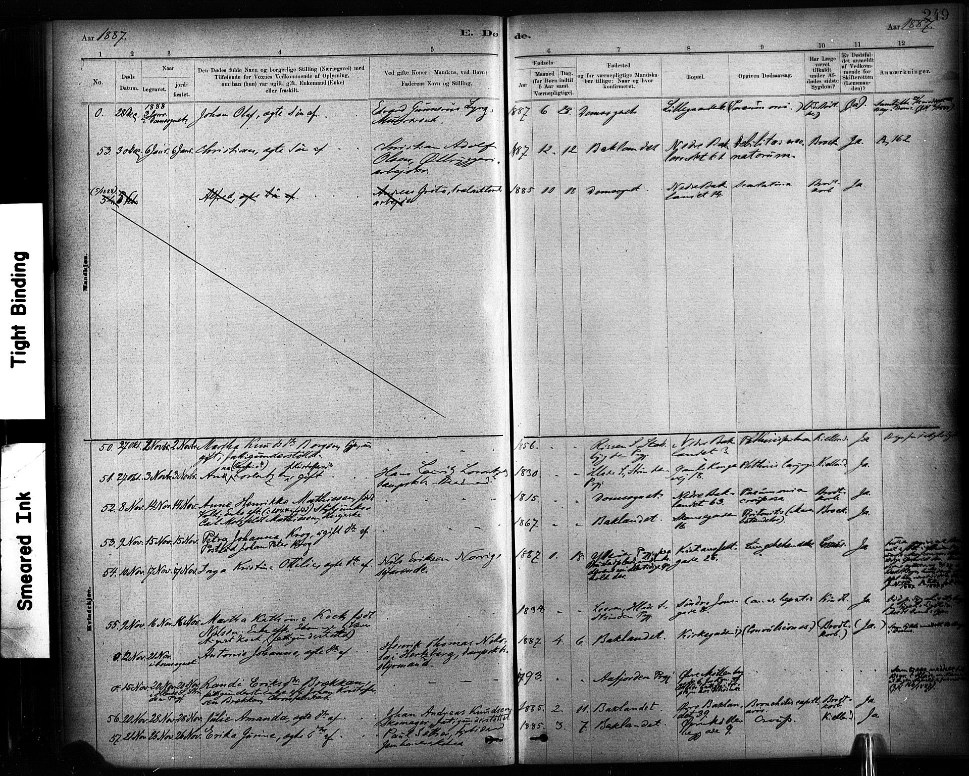 Ministerialprotokoller, klokkerbøker og fødselsregistre - Sør-Trøndelag, AV/SAT-A-1456/604/L0189: Parish register (official) no. 604A10, 1878-1892, p. 249