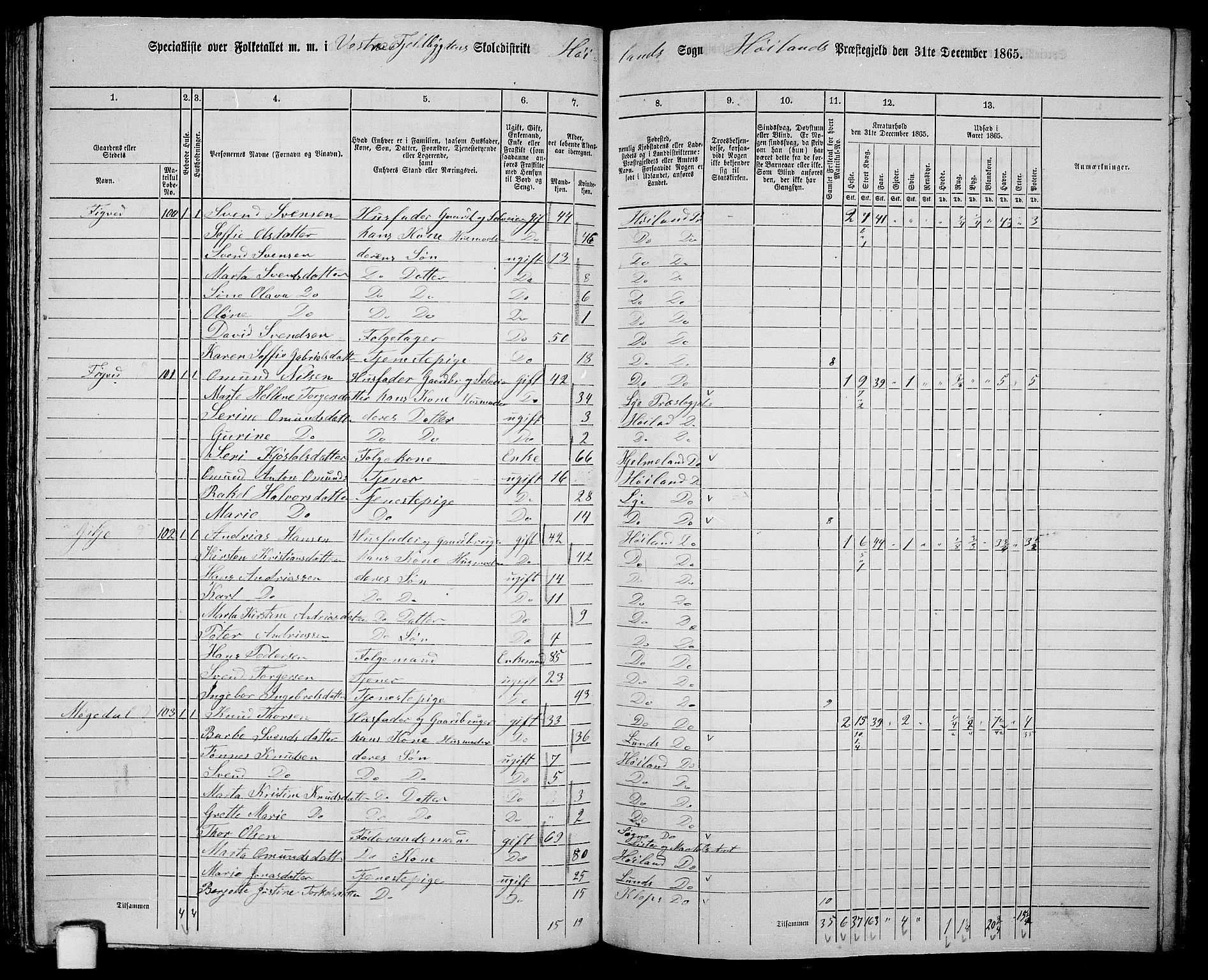 RA, 1865 census for Høyland, 1865, p. 104