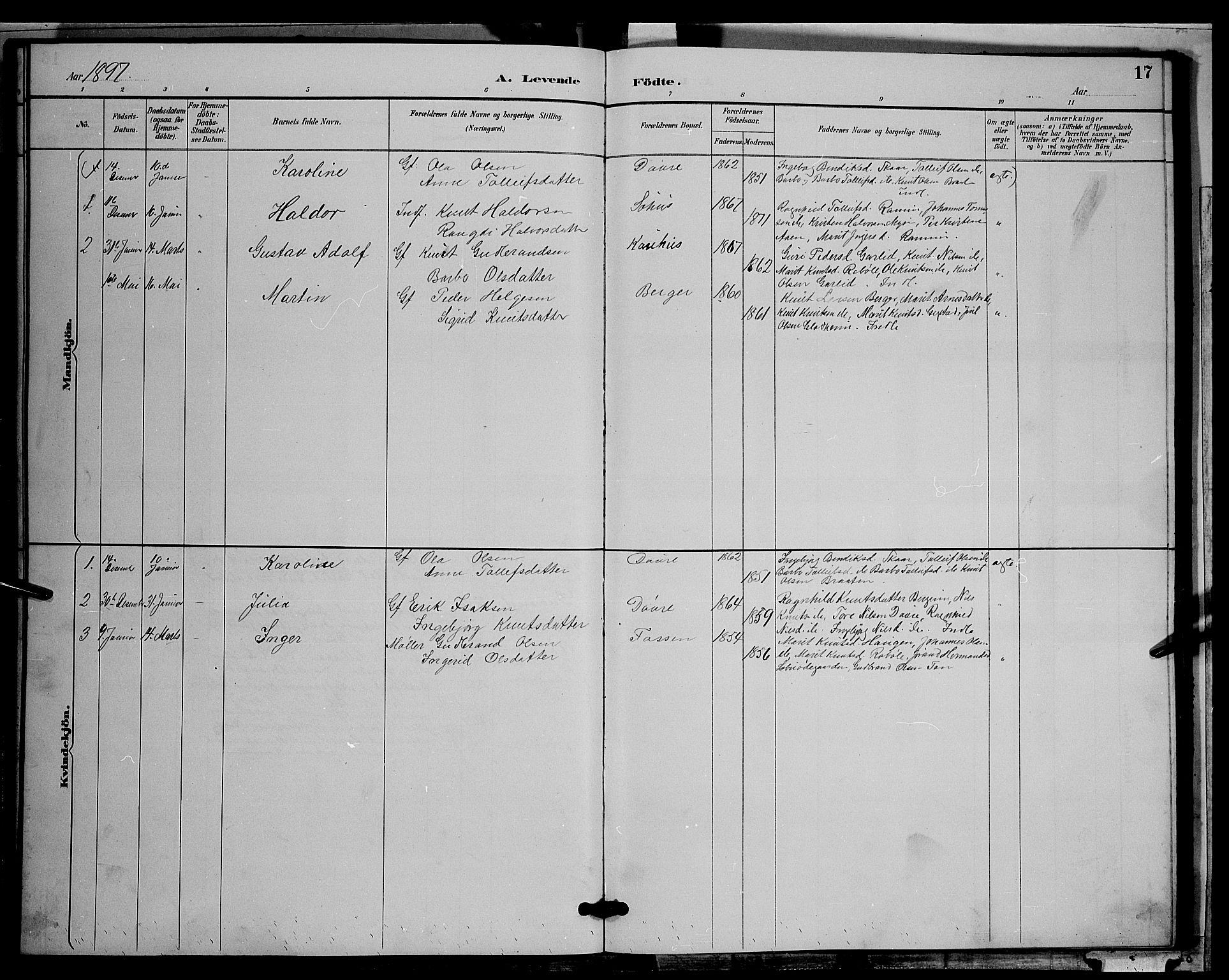 Nord-Aurdal prestekontor, SAH/PREST-132/H/Ha/Hab/L0009: Parish register (copy) no. 9, 1887-1897, p. 17