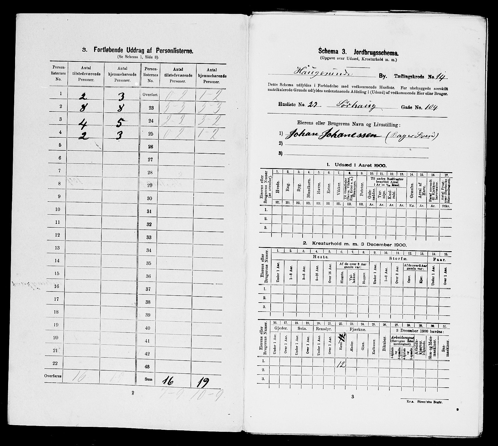 SAST, 1900 census for Haugesund, 1900, p. 2238