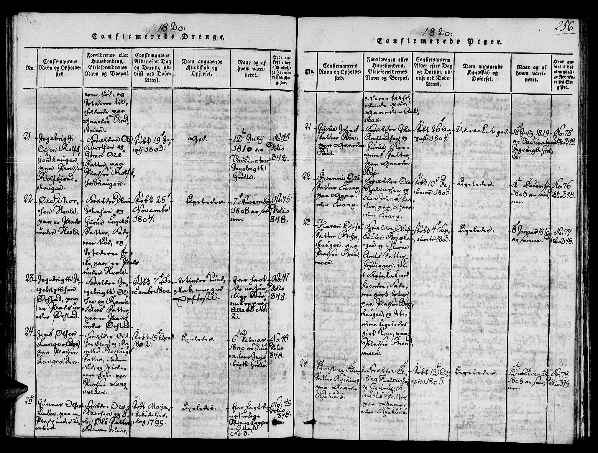 Ministerialprotokoller, klokkerbøker og fødselsregistre - Sør-Trøndelag, AV/SAT-A-1456/678/L0895: Parish register (official) no. 678A05 /1, 1816-1821, p. 256