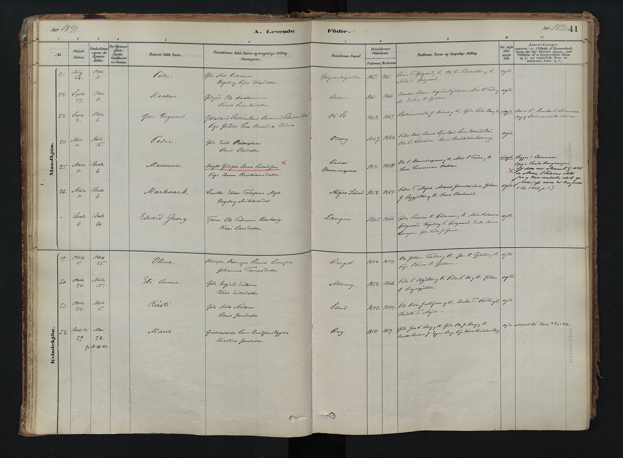 Tolga prestekontor, AV/SAH-PREST-062/K/L0008: Parish register (official) no. 8, 1877-1910, p. 41