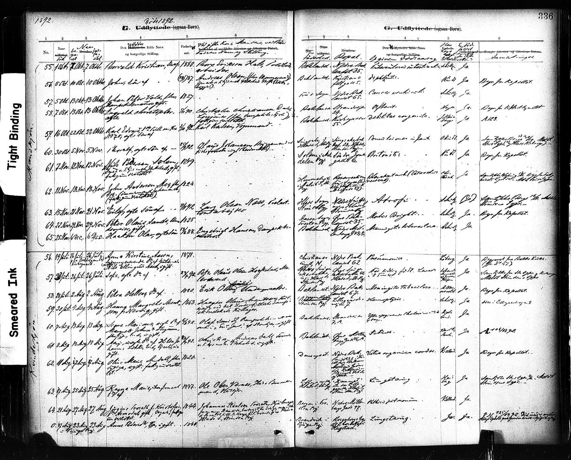 Ministerialprotokoller, klokkerbøker og fødselsregistre - Sør-Trøndelag, AV/SAT-A-1456/604/L0189: Parish register (official) no. 604A10, 1878-1892, p. 336