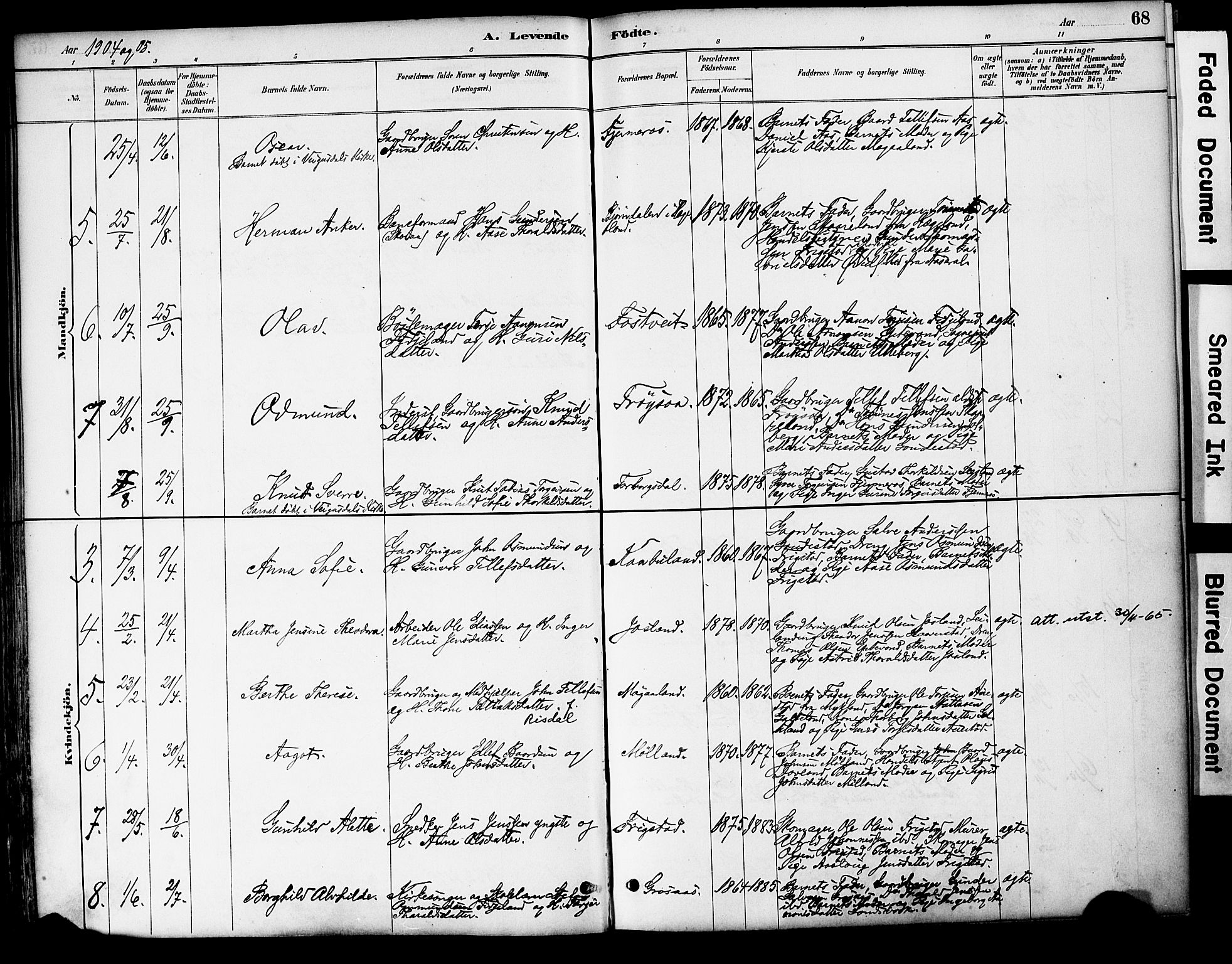 Evje sokneprestkontor, AV/SAK-1111-0008/F/Fa/Fac/L0003: Parish register (official) no. A 3, 1884-1909, p. 68