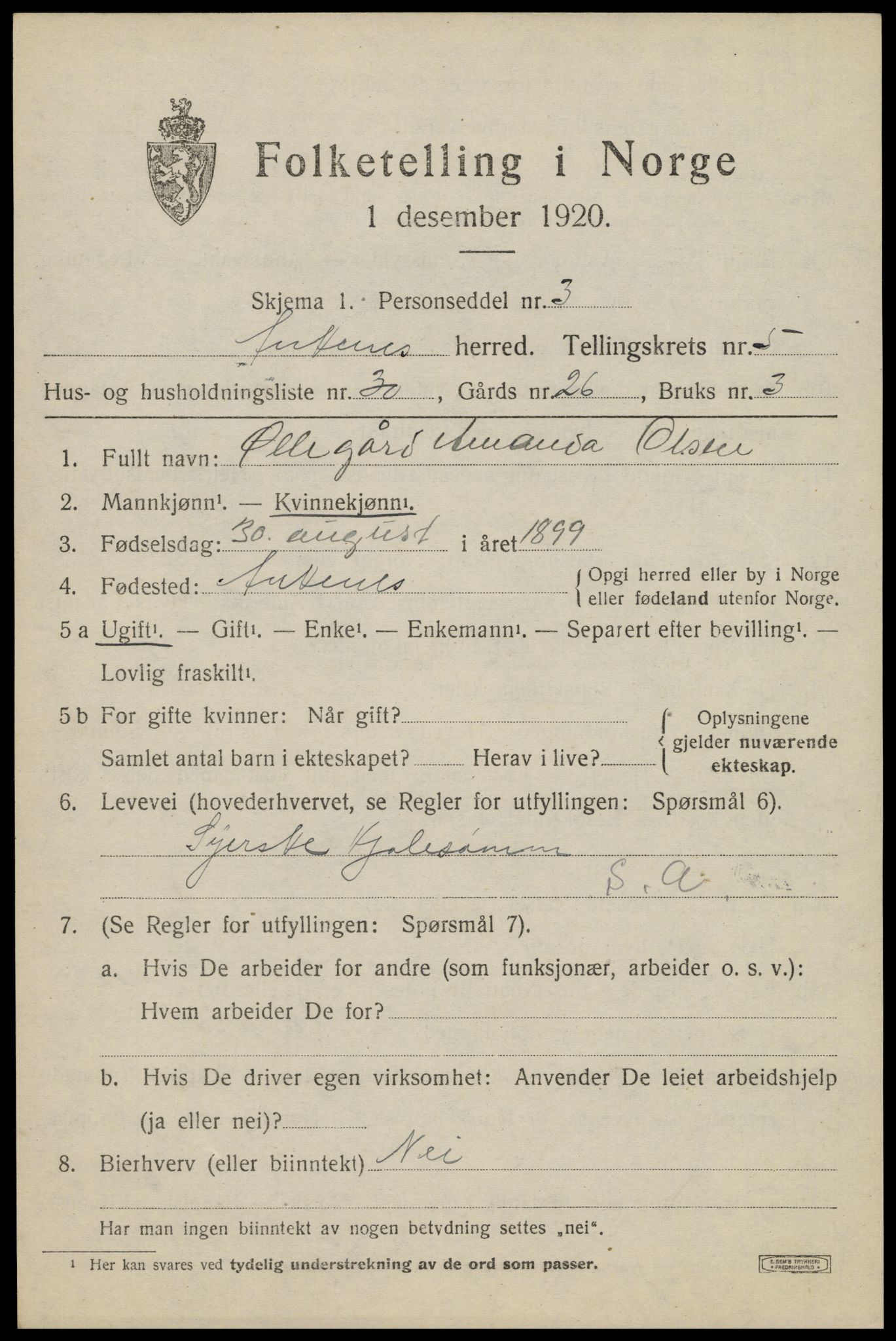 SAT, 1920 census for Ankenes, 1920, p. 3433