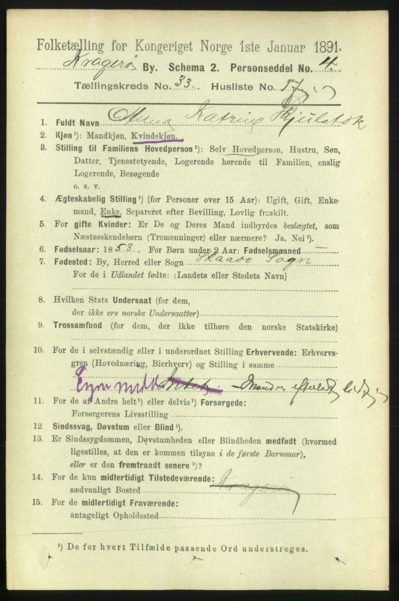 RA, 1891 census for 0801 Kragerø, 1891, p. 6080