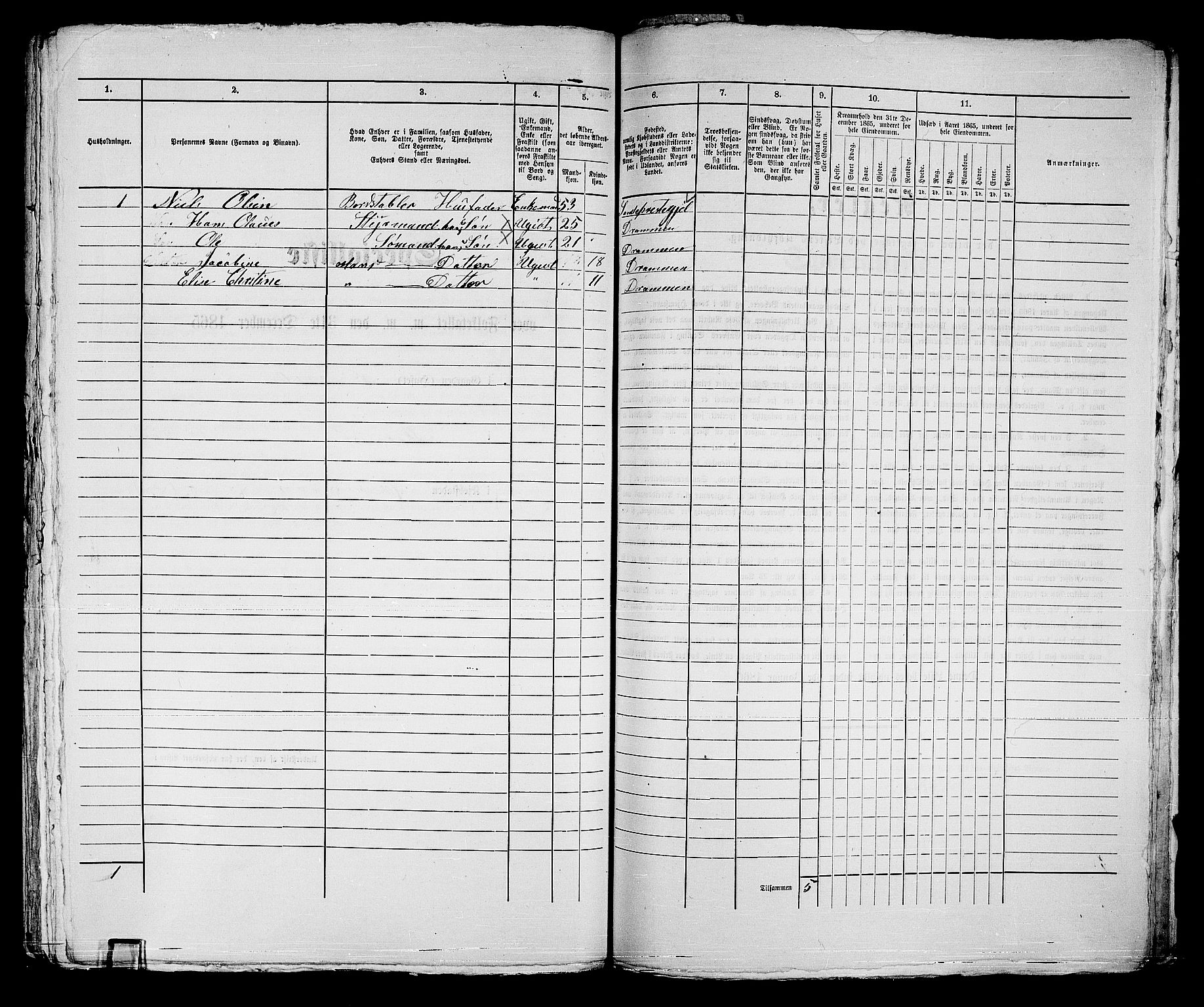 RA, 1865 census for Strømsø in Drammen, 1865, p. 456