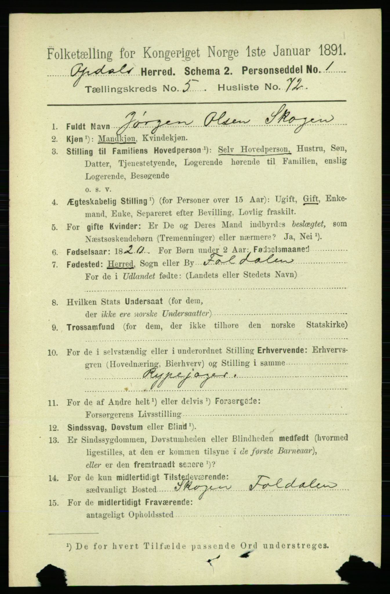 RA, 1891 census for 1634 Oppdal, 1891, p. 2668