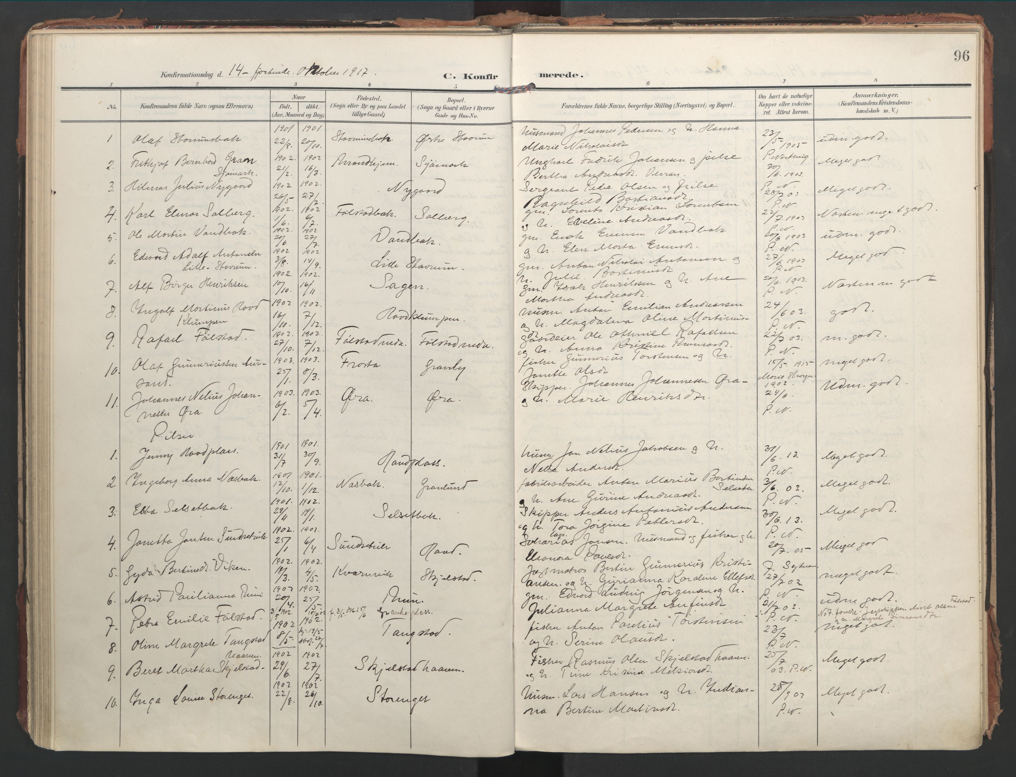 Ministerialprotokoller, klokkerbøker og fødselsregistre - Nord-Trøndelag, SAT/A-1458/744/L0421: Parish register (official) no. 744A05, 1905-1930, p. 96