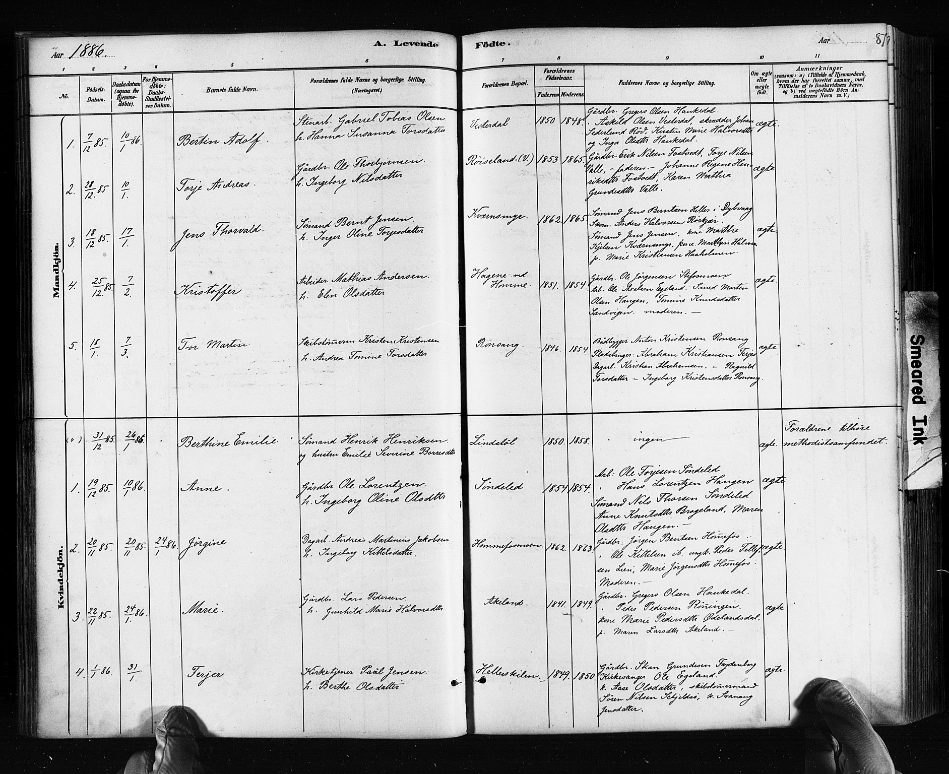 Søndeled sokneprestkontor, AV/SAK-1111-0038/F/Fa/L0004: Parish register (official) no. A 4, 1880-1889, p. 87