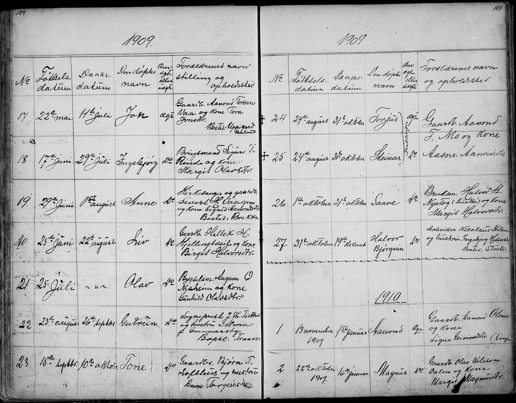 Rauland kirkebøker, SAKO/A-292/G/Ga/L0002: Parish register (copy) no. I 2, 1849-1935, p. 124-125