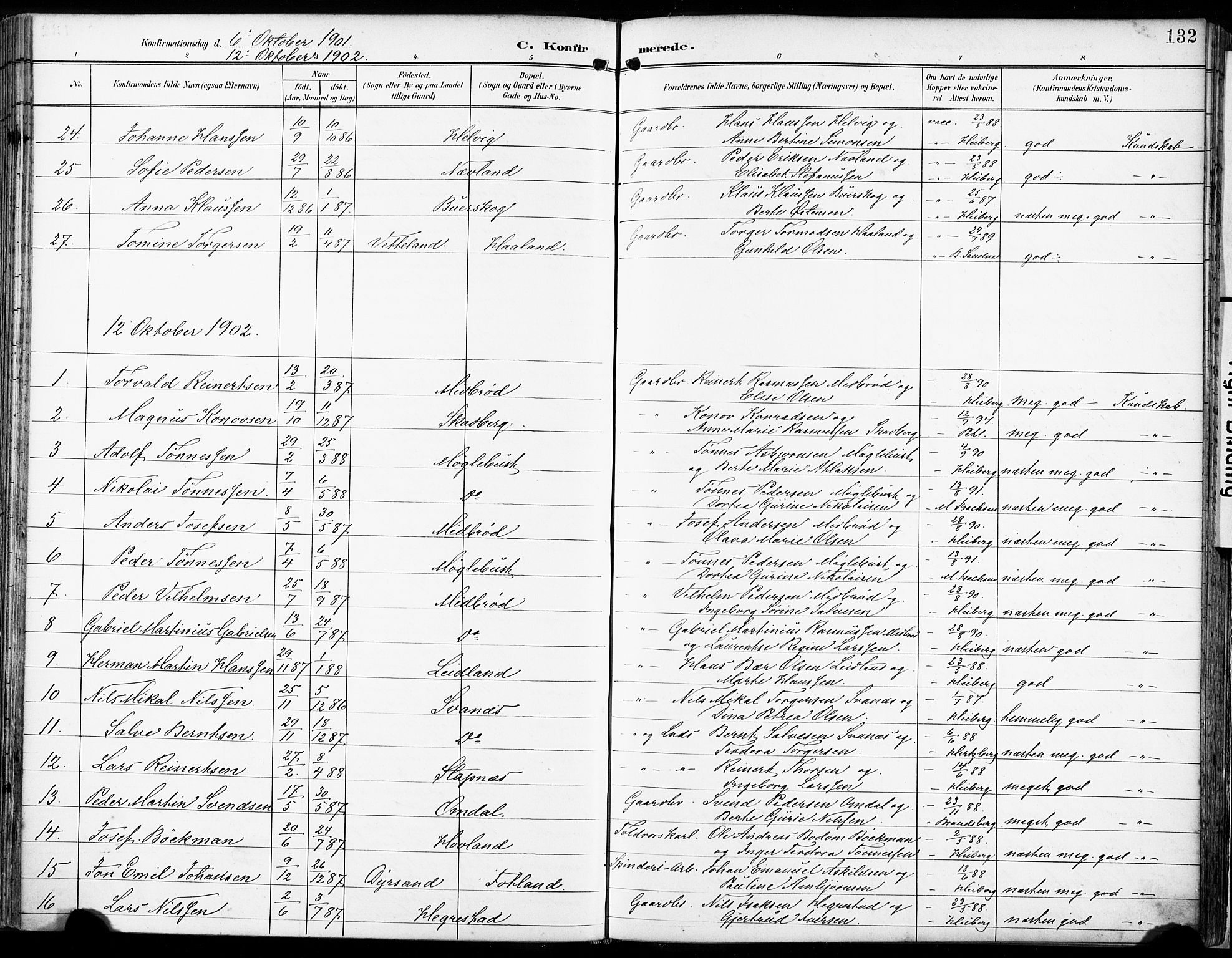 Eigersund sokneprestkontor, AV/SAST-A-101807/S08/L0018: Parish register (official) no. A 17, 1892-1905, p. 132