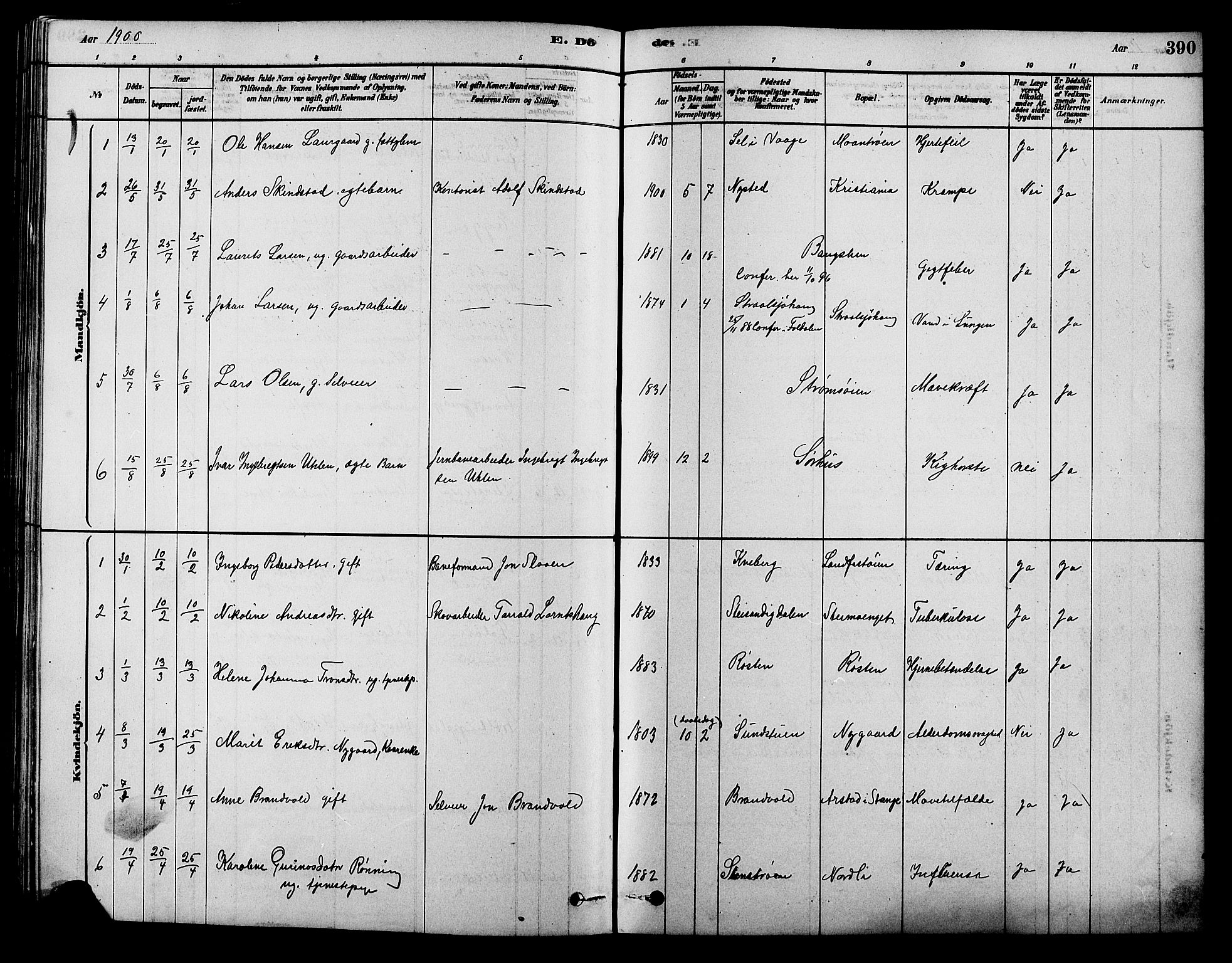 Alvdal prestekontor, SAH/PREST-060/H/Ha/Hab/L0003: Parish register (copy) no. 3, 1878-1907, p. 390