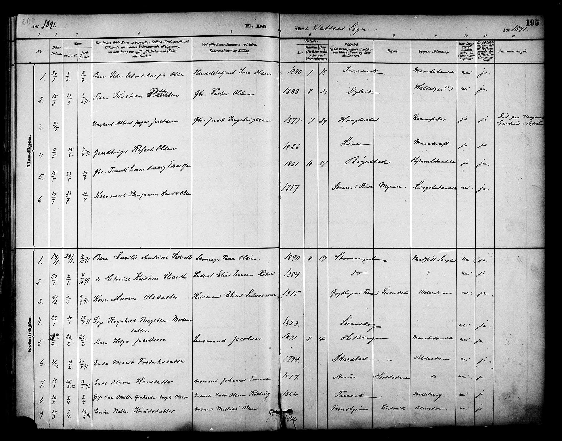 Ministerialprotokoller, klokkerbøker og fødselsregistre - Nordland, AV/SAT-A-1459/810/L0150: Parish register (official) no. 810A10 /1, 1884-1895, p. 195