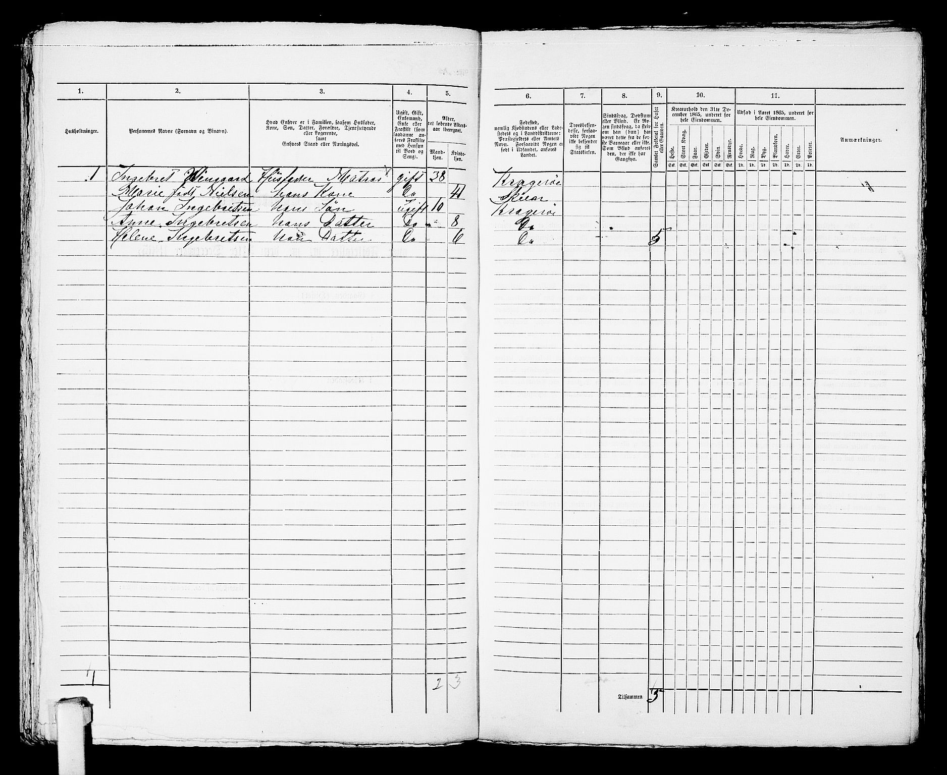 RA, 1865 census for Kragerø/Kragerø, 1865, p. 925