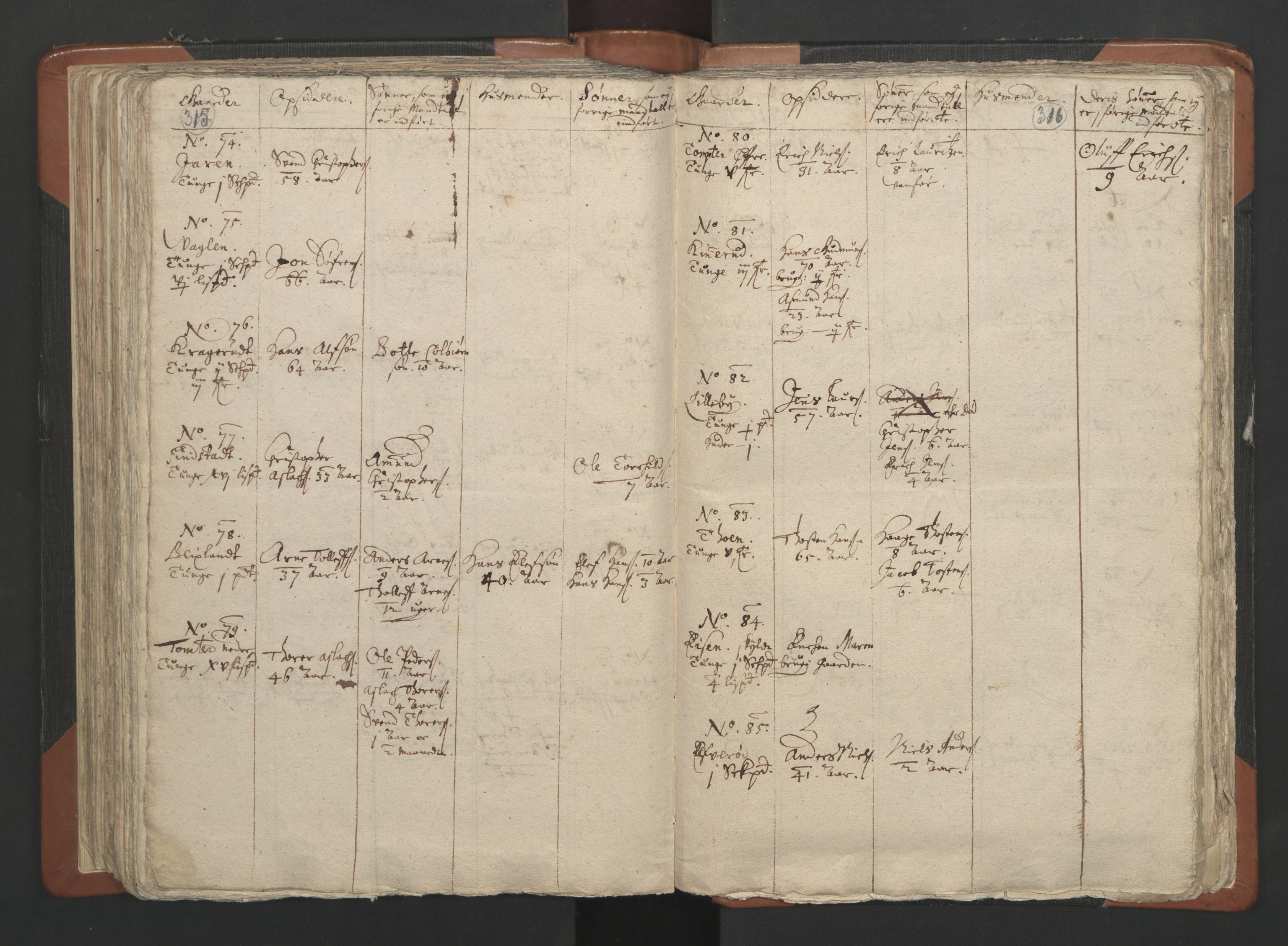 RA, Vicar's Census 1664-1666, no. 2: Øvre Borgesyssel deanery, 1664-1666, p. 315-316