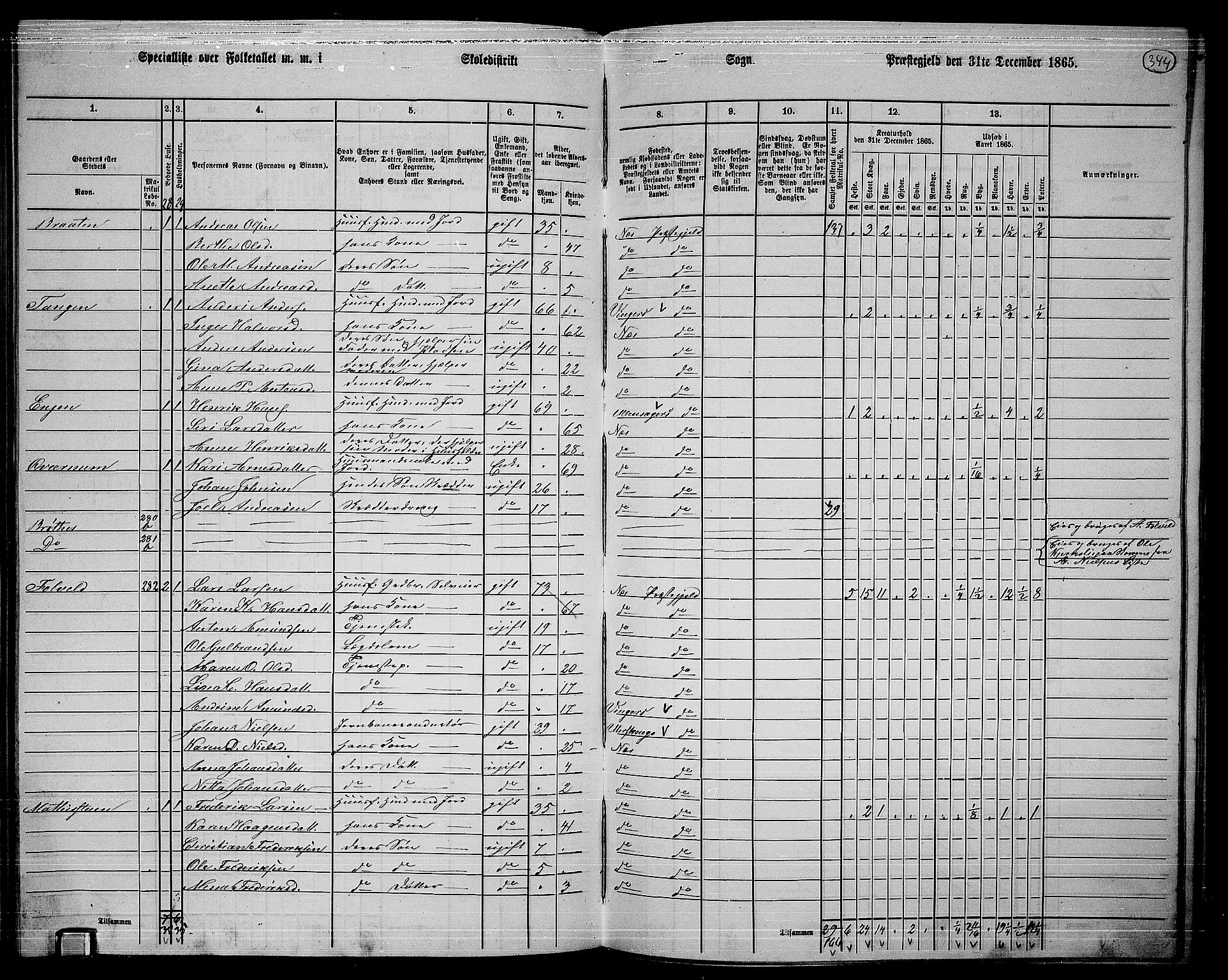 RA, 1865 census for Nes, 1865, p. 314