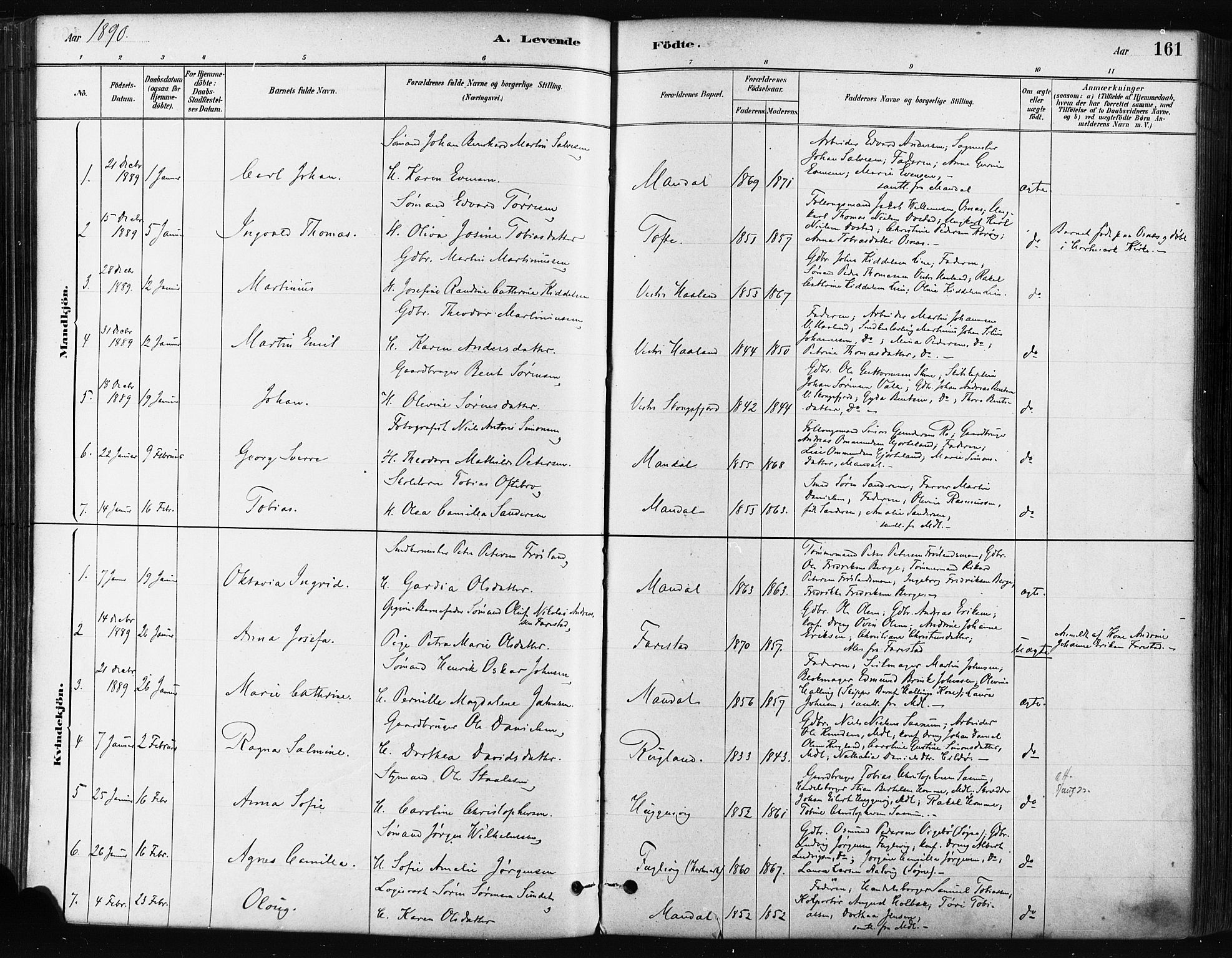 Mandal sokneprestkontor, SAK/1111-0030/F/Fa/Faa/L0016: Parish register (official) no. A 16, 1880-1890, p. 161