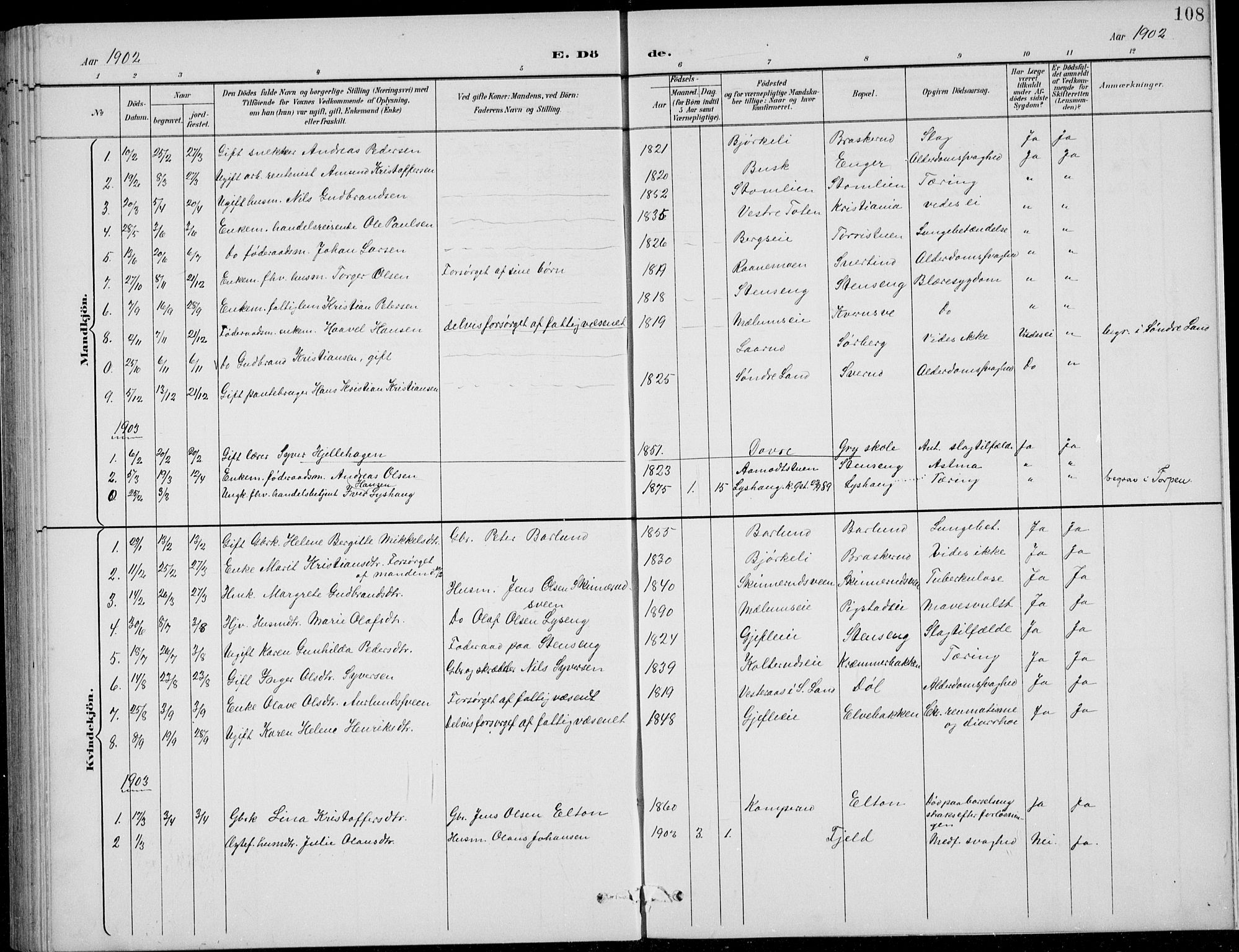 Nordre Land prestekontor, SAH/PREST-124/H/Ha/Hab/L0014: Parish register (copy) no. 14, 1891-1907, p. 108