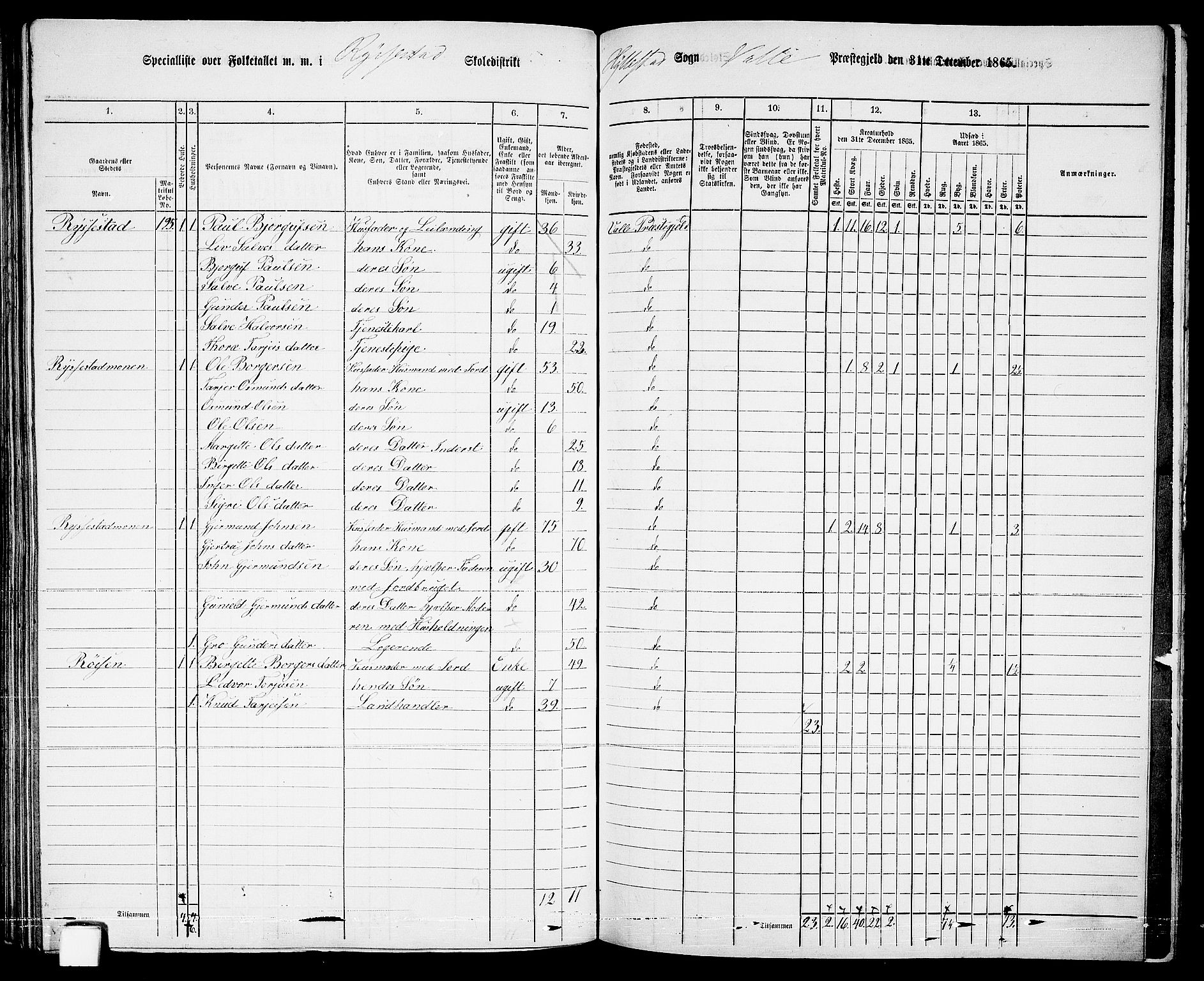 RA, 1865 census for Valle, 1865, p. 124