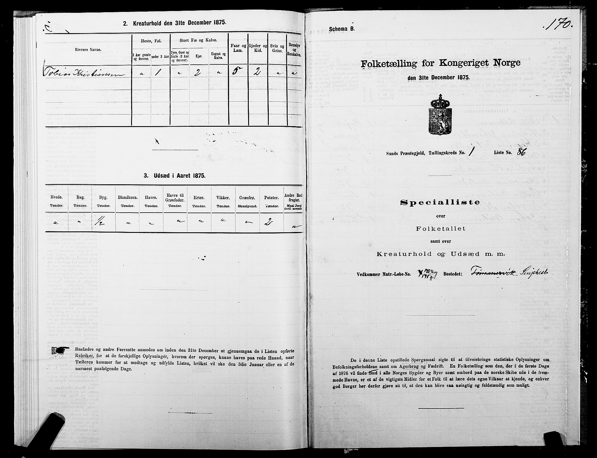 SATØ, 1875 census for 1915P Sand, 1875, p. 1170