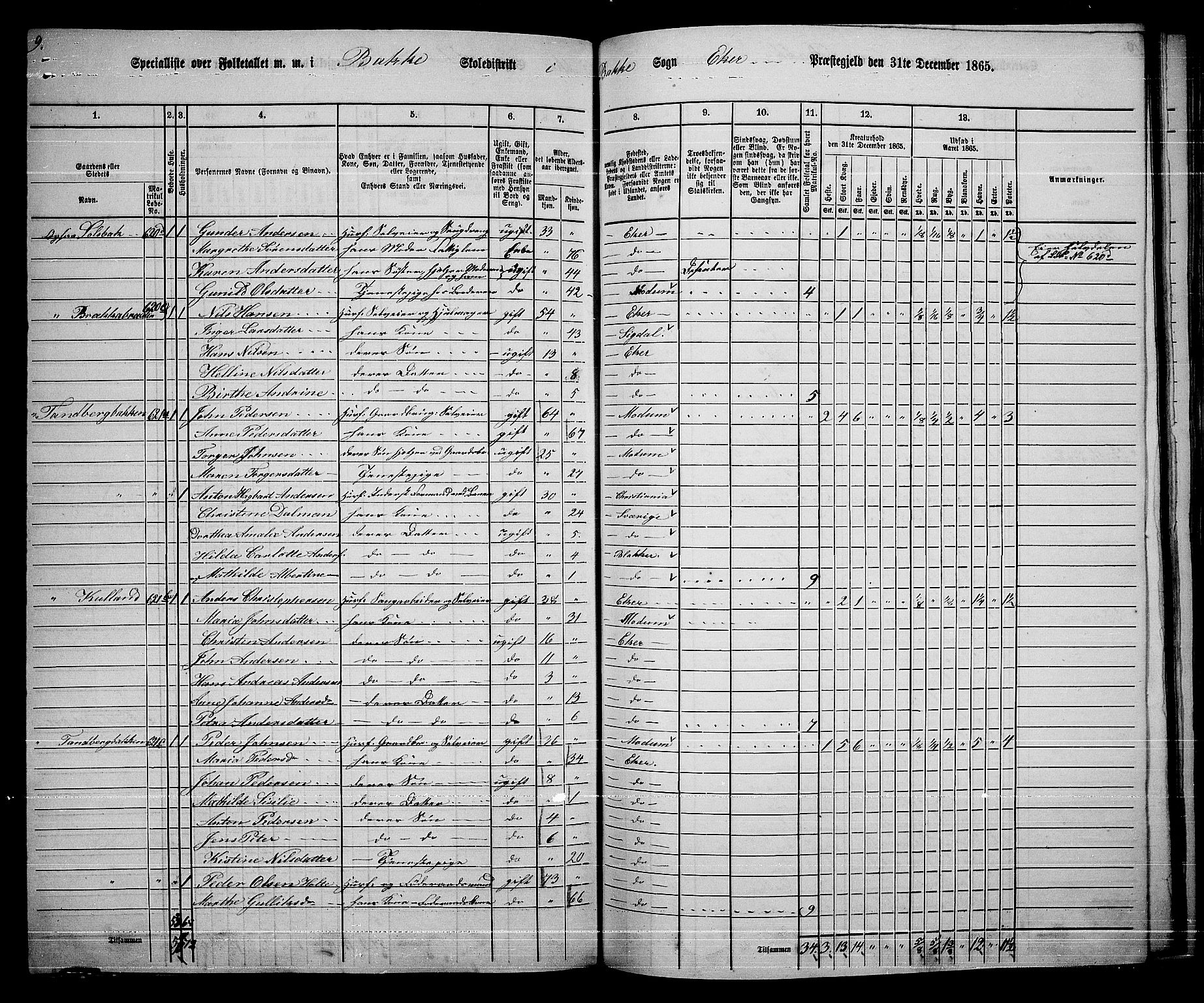 RA, 1865 census for Eiker, 1865, p. 444