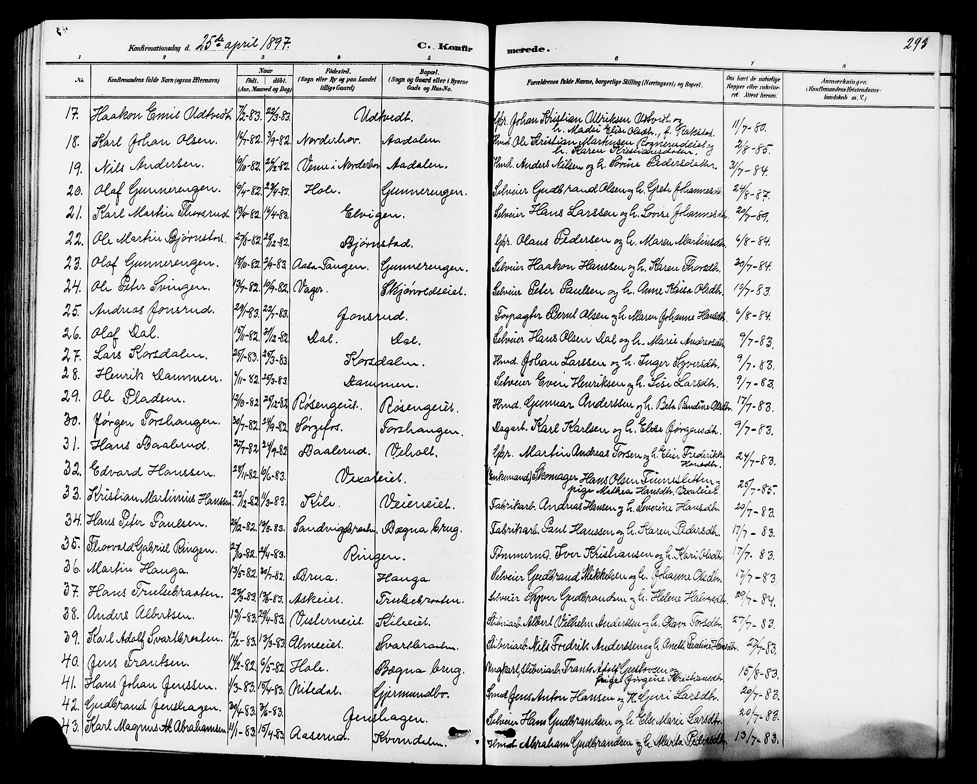 Norderhov kirkebøker, SAKO/A-237/G/Ga/L0008: Parish register (copy) no. I 8, 1887-1912, p. 293