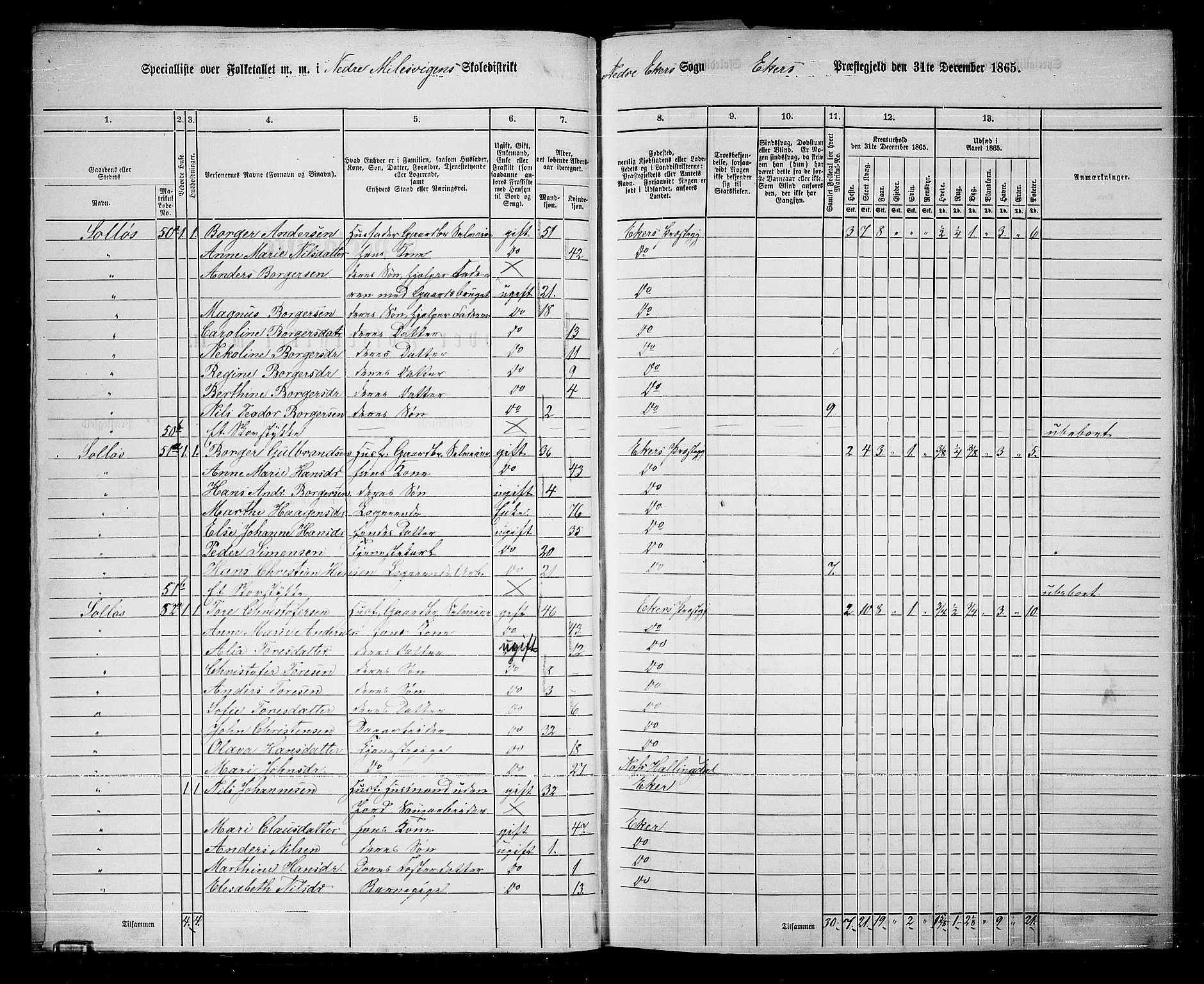 RA, 1865 census for Eiker, 1865, p. 295