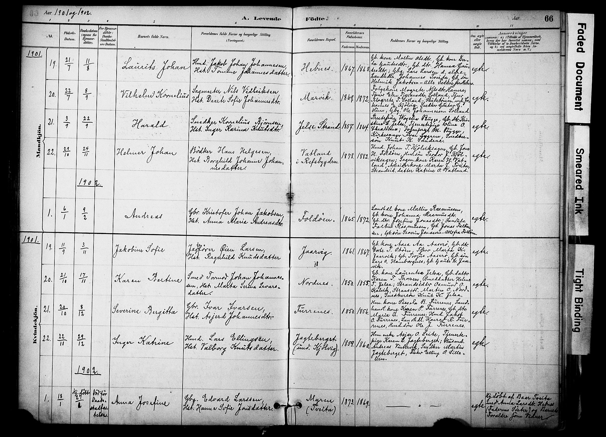 Jelsa sokneprestkontor, AV/SAST-A-101842/01/IV: Parish register (official) no. A 10, 1884-1906, p. 66