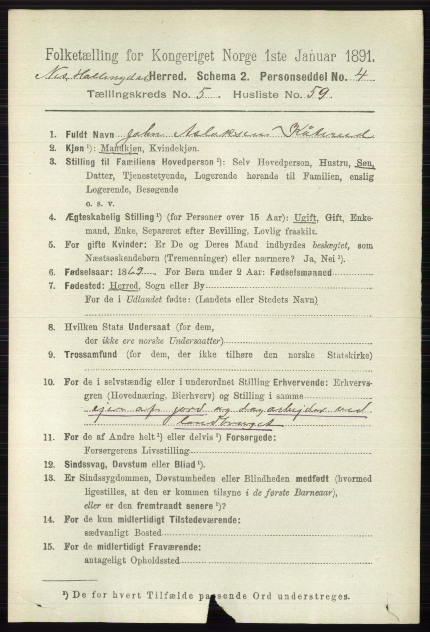 RA, 1891 census for 0616 Nes, 1891, p. 2935