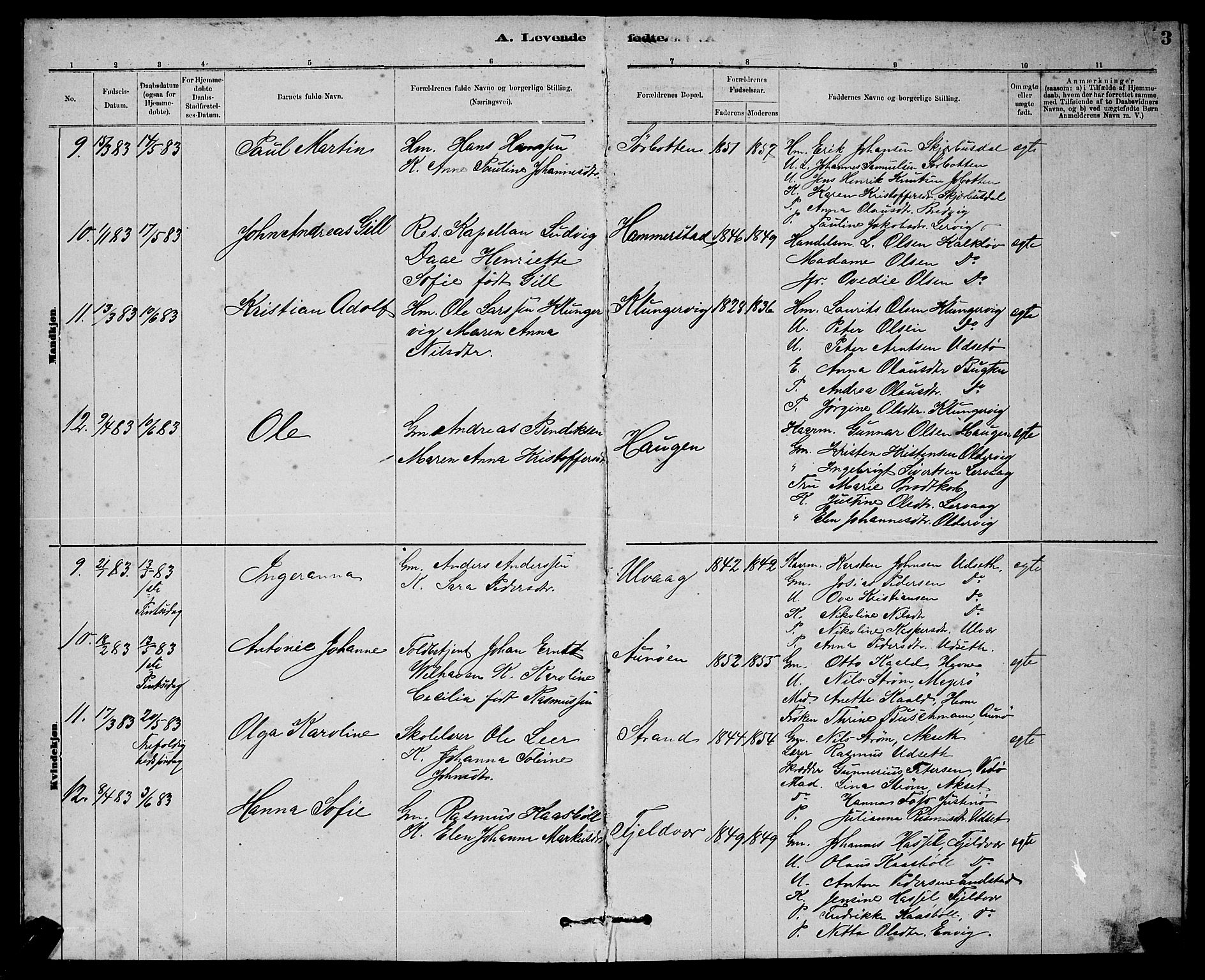 Ministerialprotokoller, klokkerbøker og fødselsregistre - Sør-Trøndelag, AV/SAT-A-1456/637/L0562: Parish register (copy) no. 637C03, 1883-1898, p. 3