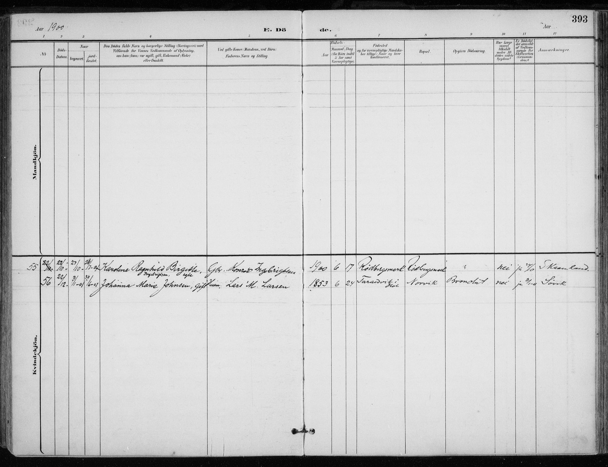 Trondenes sokneprestkontor, AV/SATØ-S-1319/H/Ha/L0017kirke: Parish register (official) no. 17, 1899-1908, p. 393