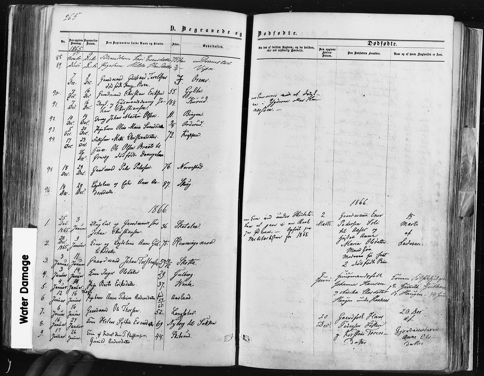 Trøgstad prestekontor Kirkebøker, SAO/A-10925/F/Fa/L0009: Parish register (official) no. I 9, 1865-1877, p. 265