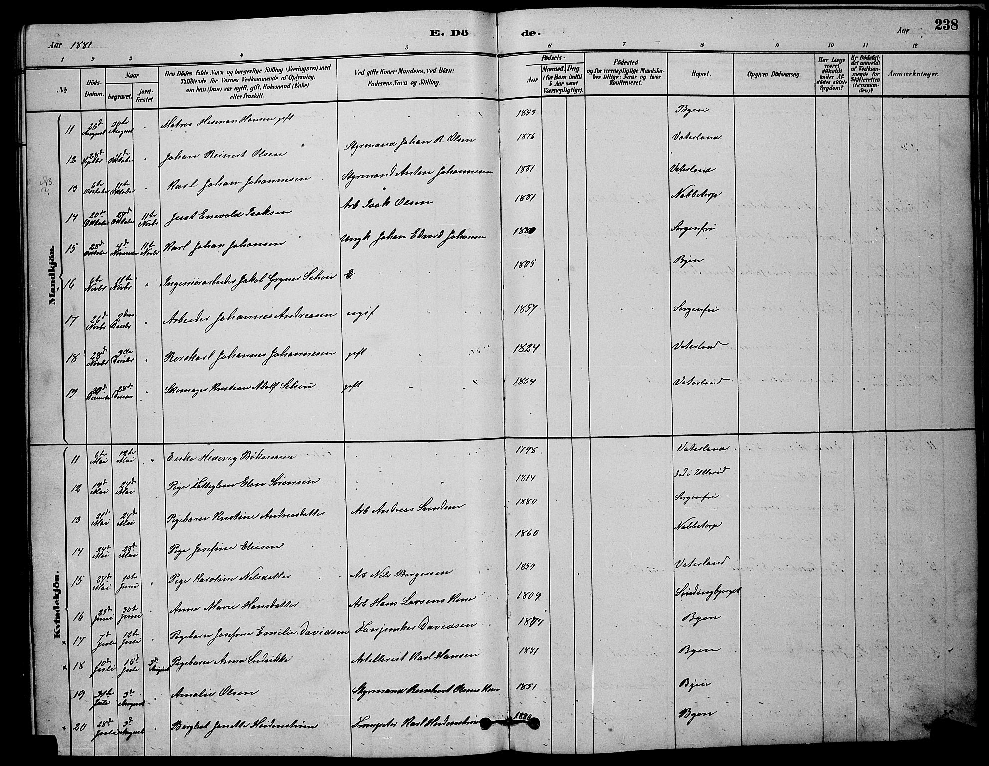 Østre Fredrikstad prestekontor Kirkebøker, AV/SAO-A-10907/G/Ga/L0001: Parish register (copy) no. 1, 1880-1899, p. 238