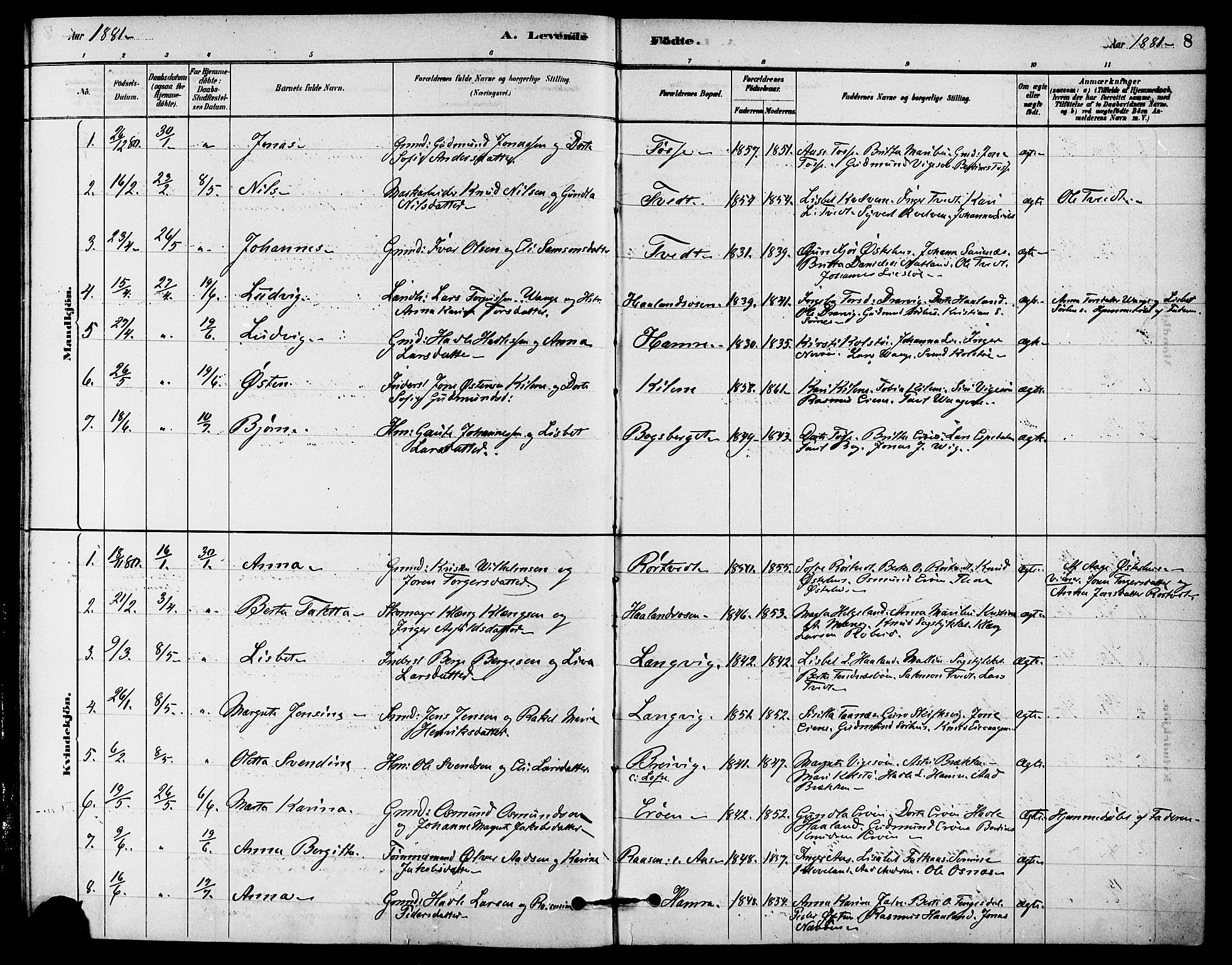 Jelsa sokneprestkontor, SAST/A-101842/01/IV: Parish register (official) no. A 9, 1878-1898, p. 8
