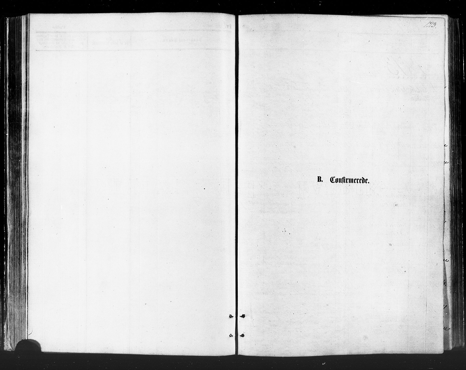 Vadsø sokneprestkontor, SATØ/S-1325/H/Ha/L0005kirke: Parish register (official) no. 5, 1873-1884, p. 123